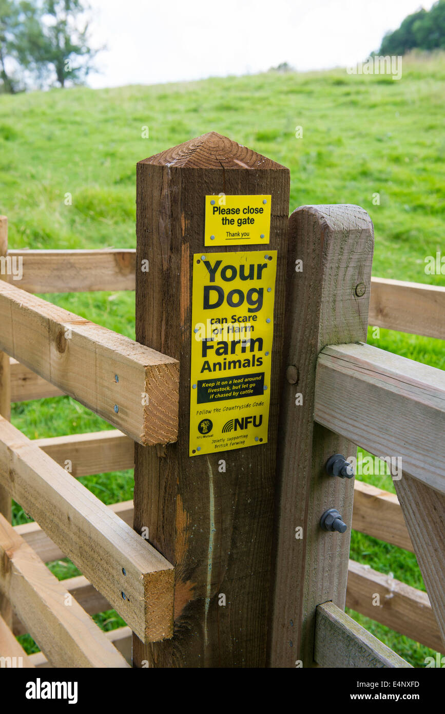 Eine Mitteilung, die Hundebesitzer zu halten sie an der Leine, so dass sie nicht Nutztiere in Hopesay, Shropshire, England erschrecken zu informieren. Stockfoto