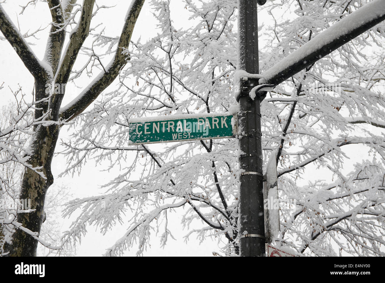 USA, New York State, New York City, niedrigen Winkel Blick auf Central Park-Schriftzug Stockfoto
