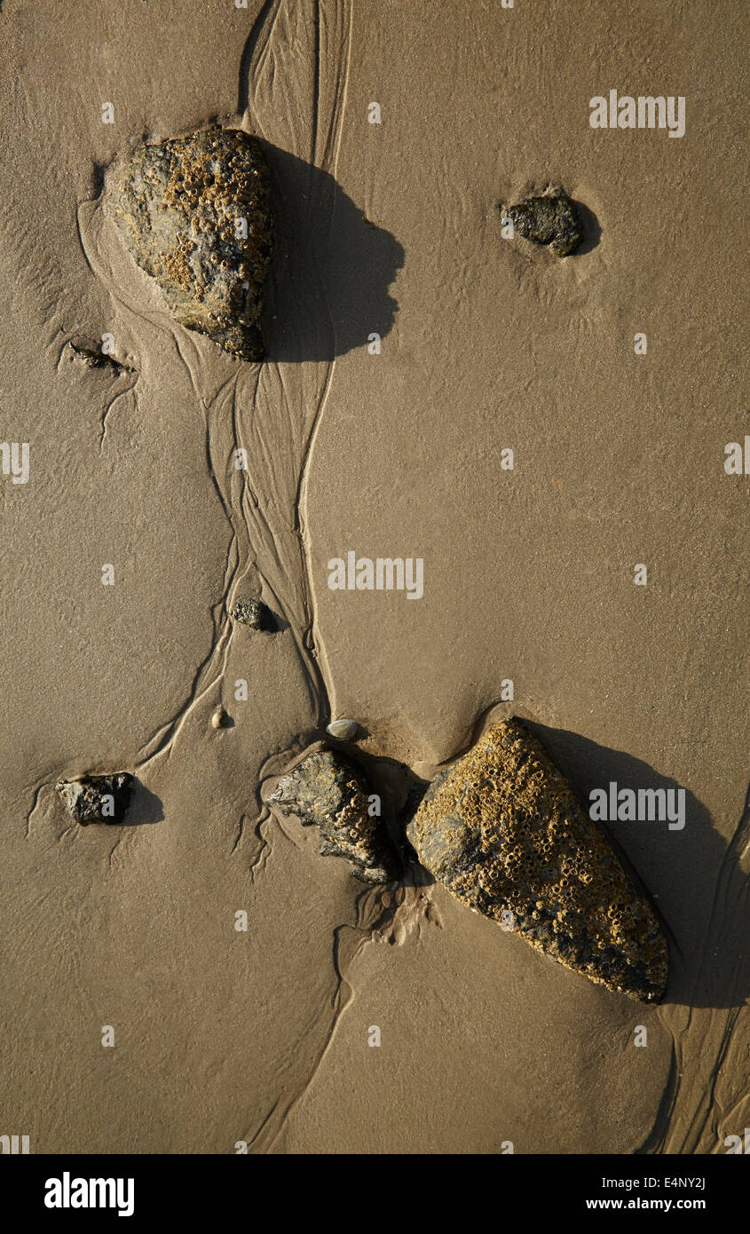 Spuren von Wasser in den Sand bei Ebbe im Wattenmeer, Wasserspuren Und Steine Im Watt Stockfoto