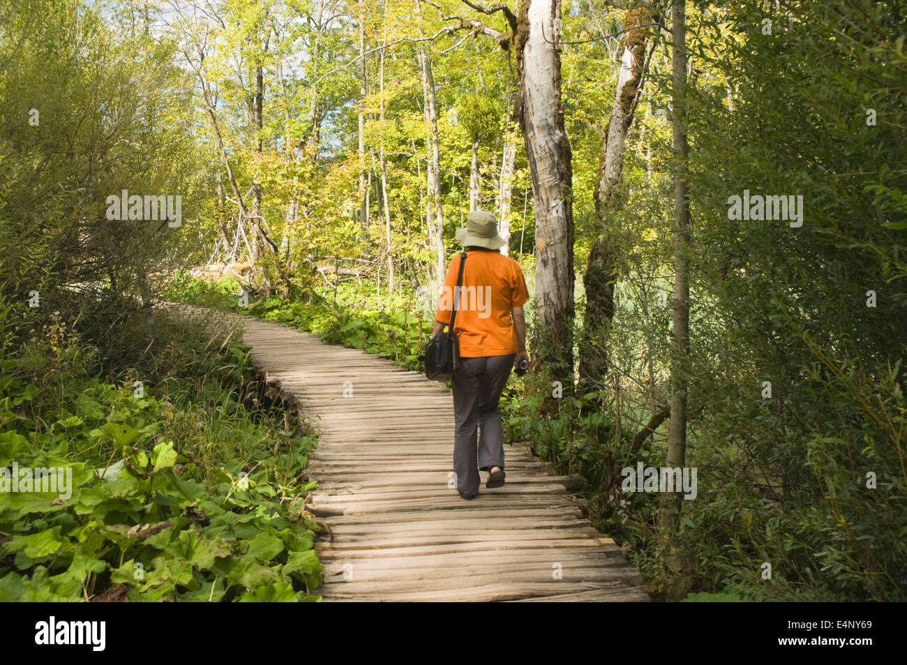 Europa, Kroatien, Plitvicka Jezera Nationalpark Plitvicer See, Tourist auf Gehweg Stockfoto