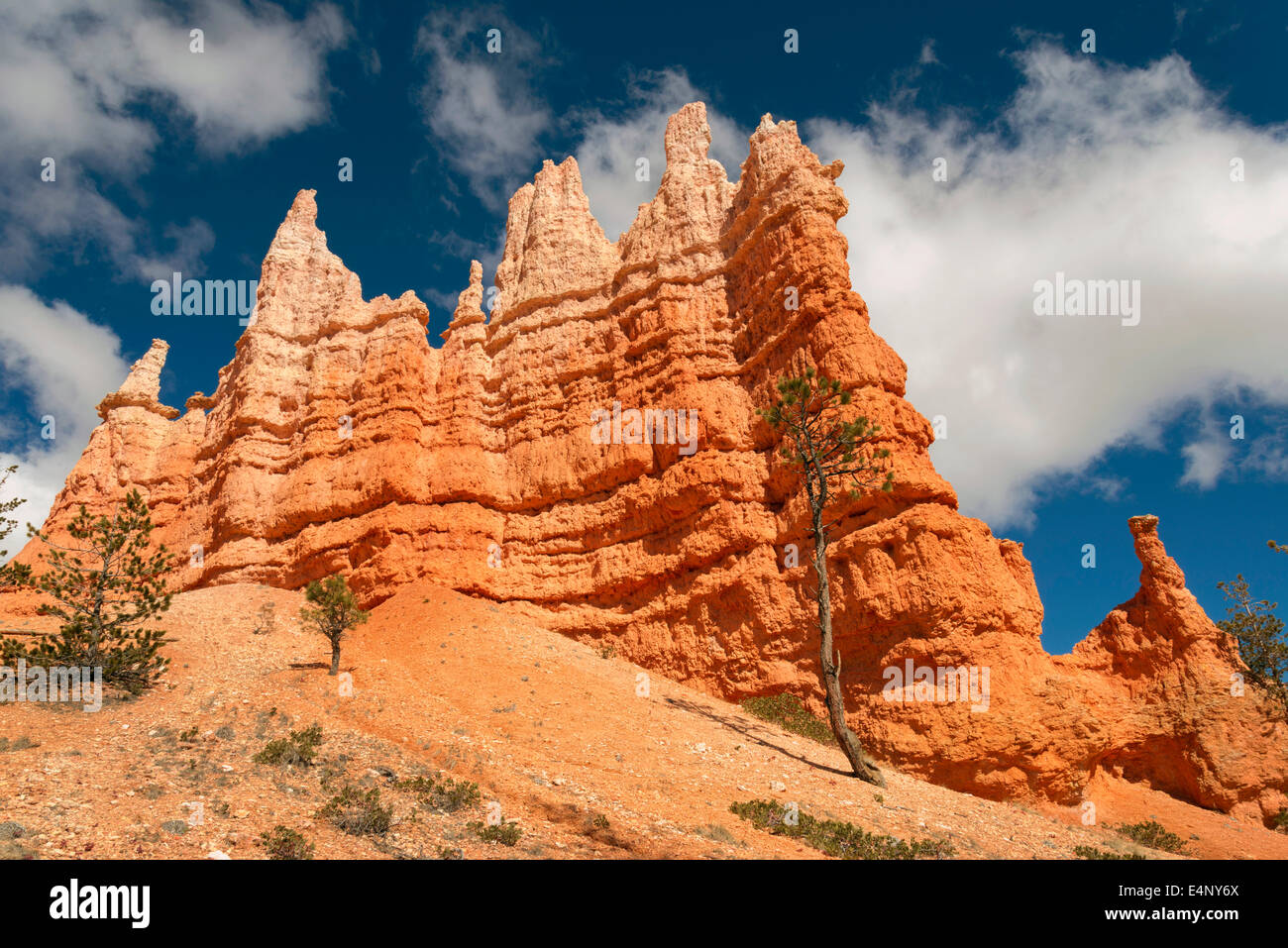 USA, Utah, Felsformationen im Bryce Canyon Stockfoto
