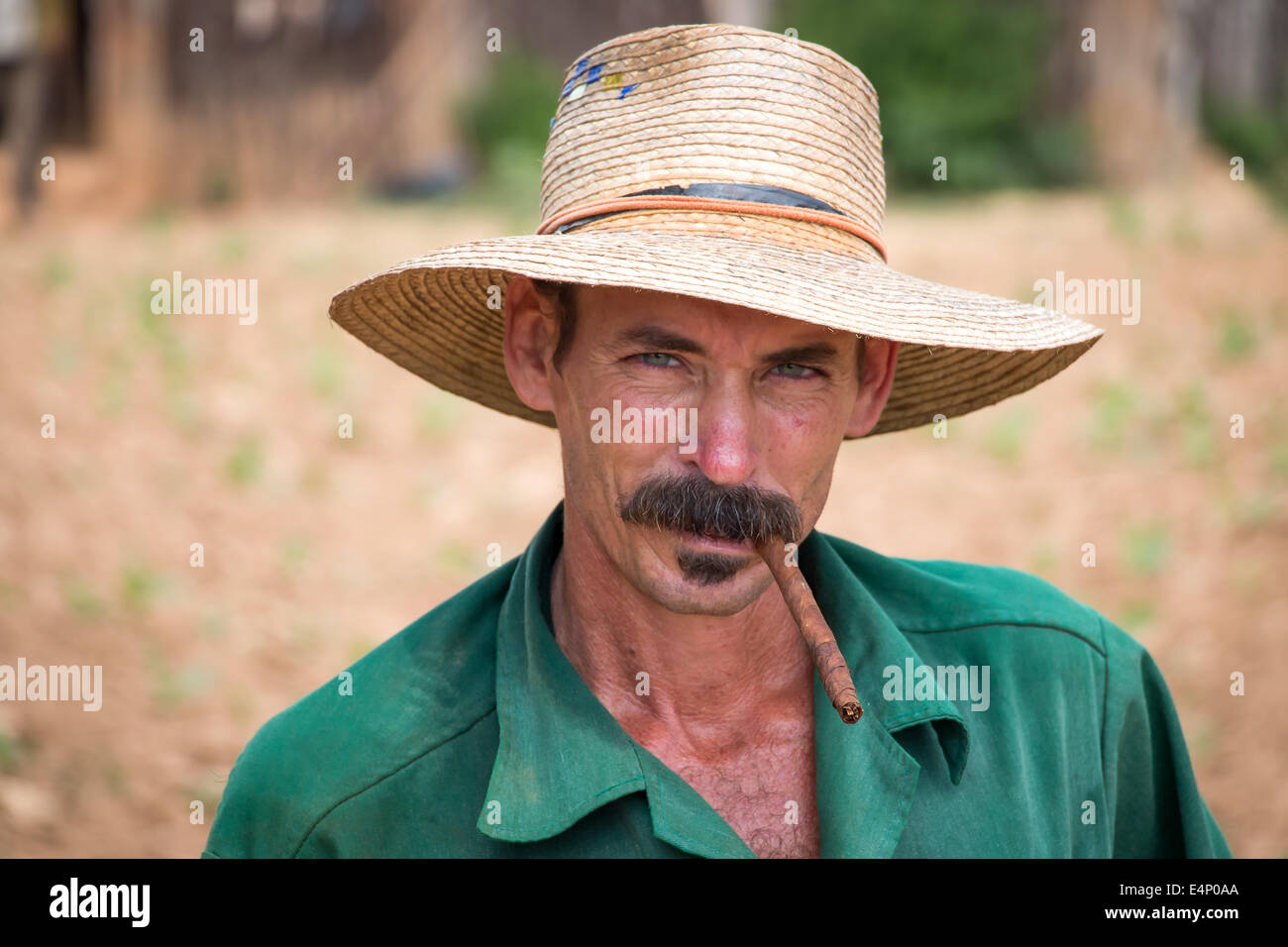 Landwirt mit Zigarre im Mund Tabak Arbeitsfeld, Valle de Viñales, Pinar del Río Provinz, Kuba. Stockfoto