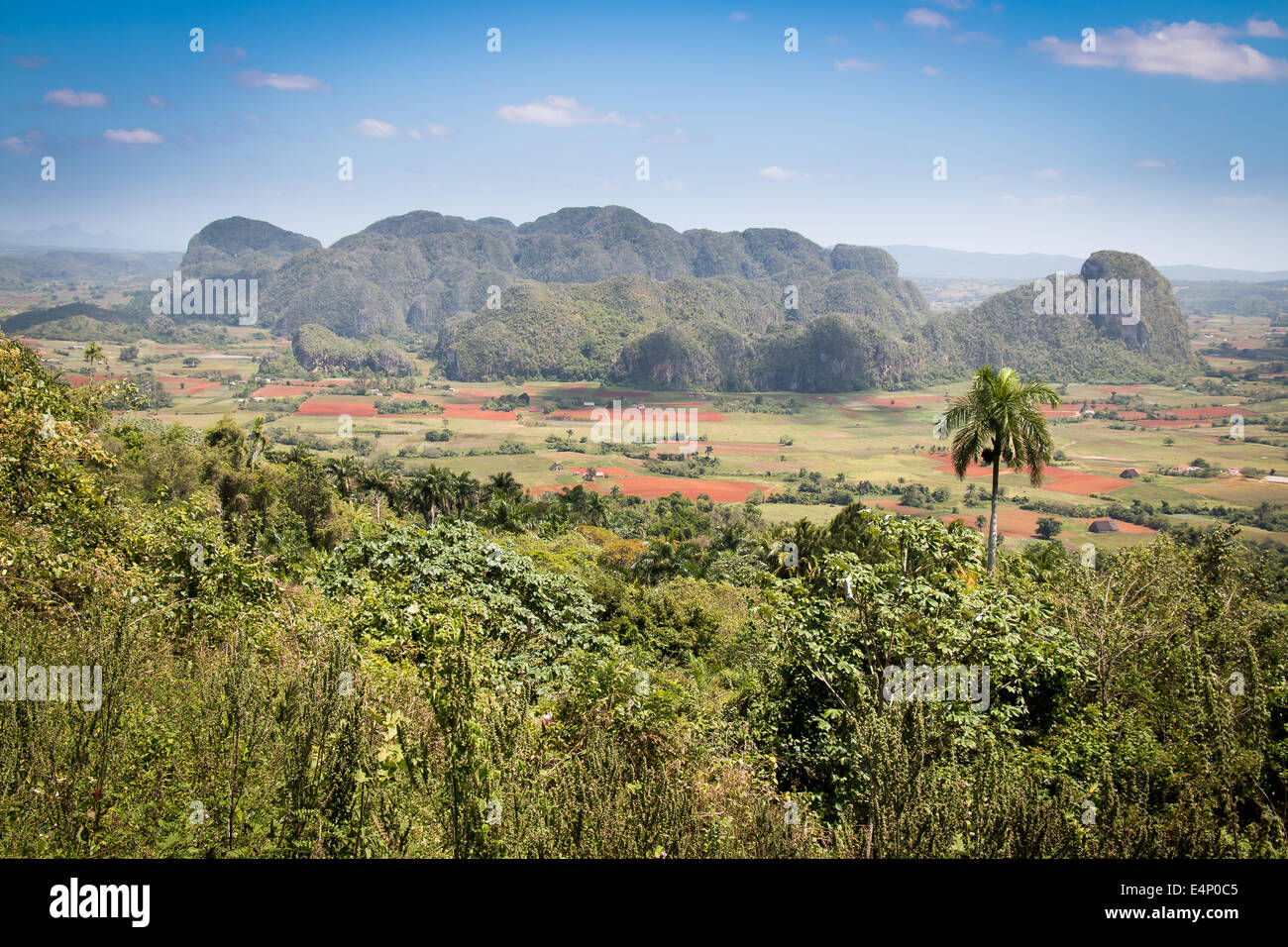 Ansicht des Valle de Viñales, Provinz Pinar del Río, Kuba. Stockfoto