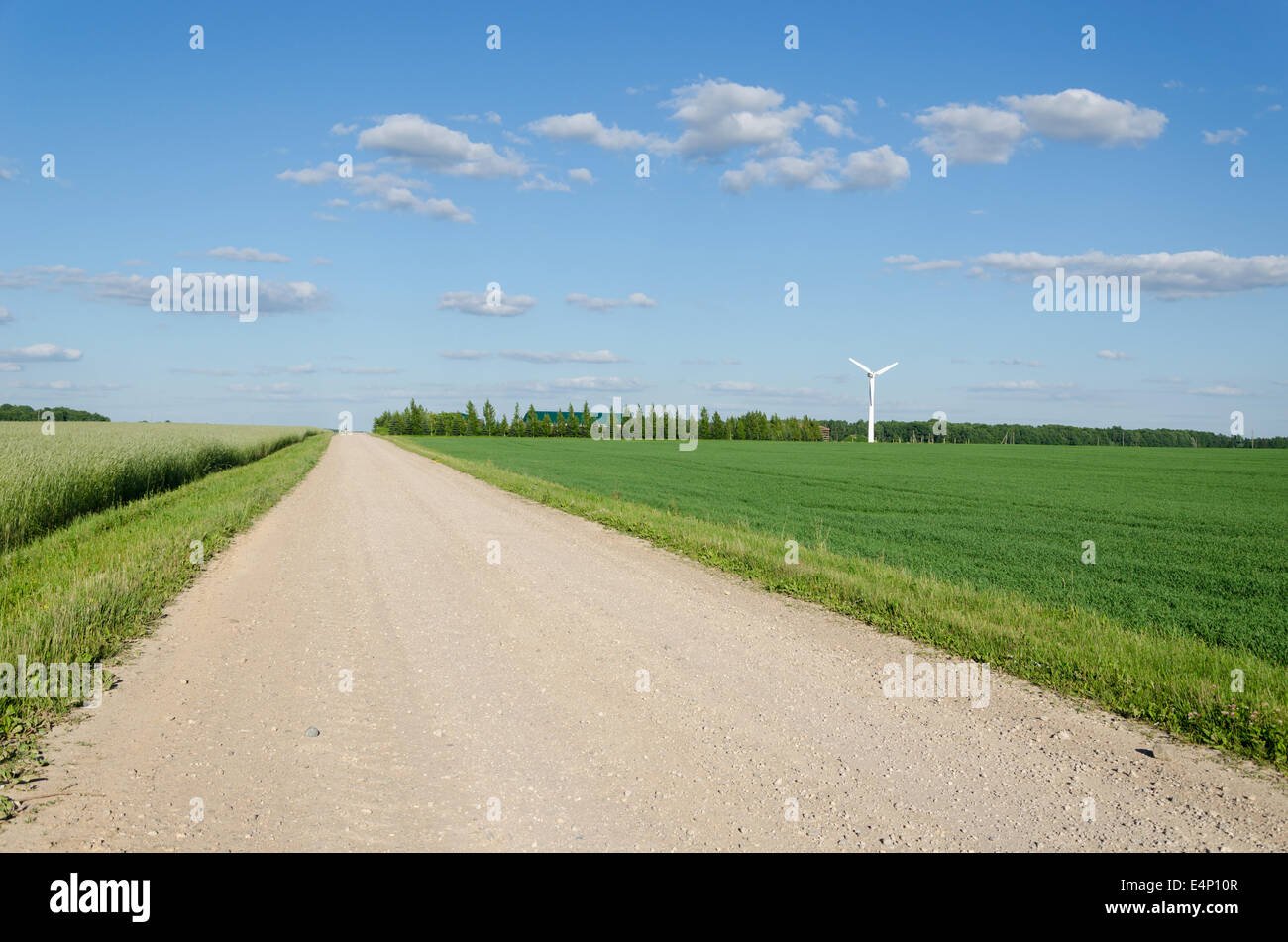 Ländliche Schotterstraße zwischen Landwirtschaft und Wind Mühle Windmühle Rorate Alternativen erneuerbaren Energiegewinnung. Stockfoto