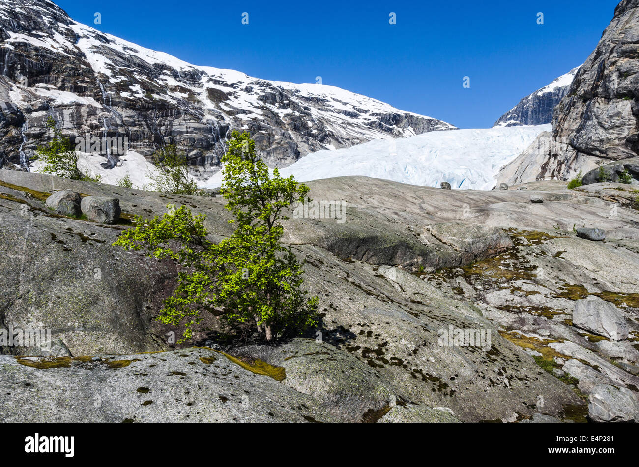 der Gletscher Nigaardsbreen, Jostedalsbreen Nationalpark Breheimen, Glanz, Sogn Og Fjordane Fylke, Norwegen, Stockfoto