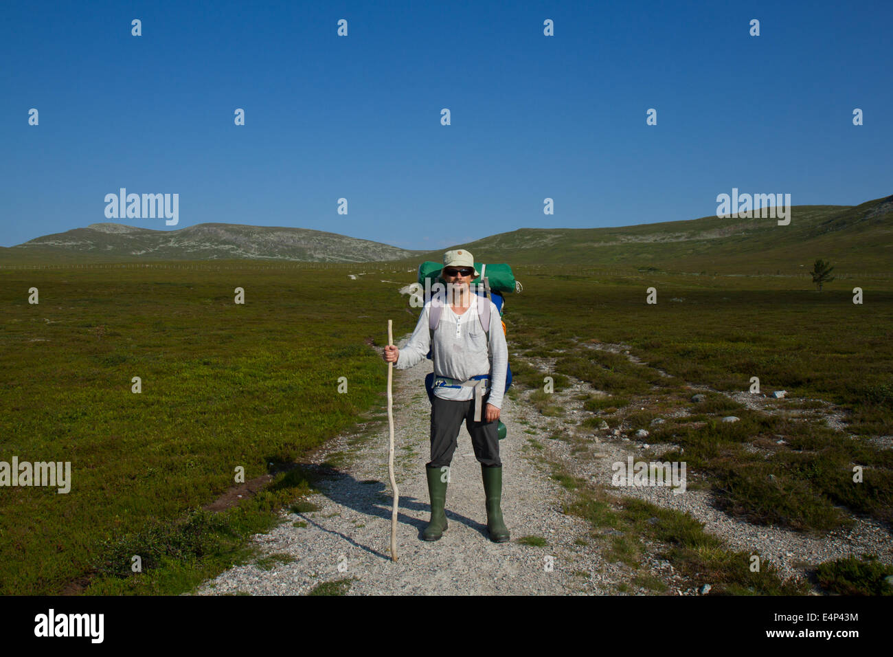 Wanderer in den schwedischen und norwegischen Bergen. Stockfoto