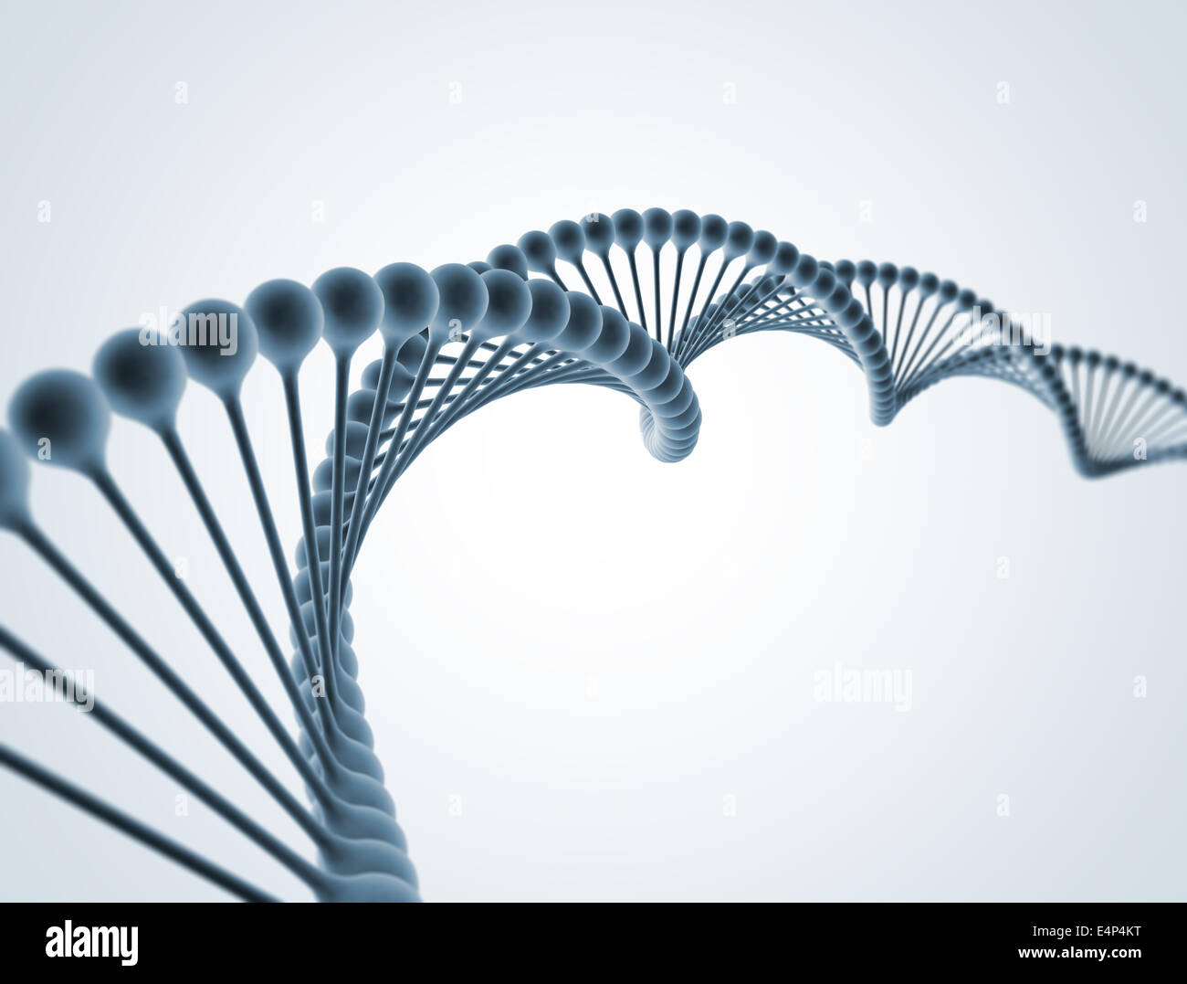 DNA-Doppelhelix-Modell dunkel blau detailliertes Modell Stockfoto