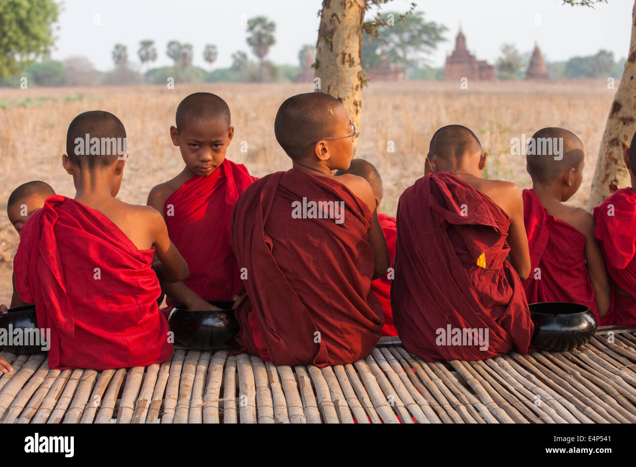 Junge Mönche erwarten Anfang der Runde ein Almosen in der Anwohner für Lebensmittelspenden auffordern. Stockfoto