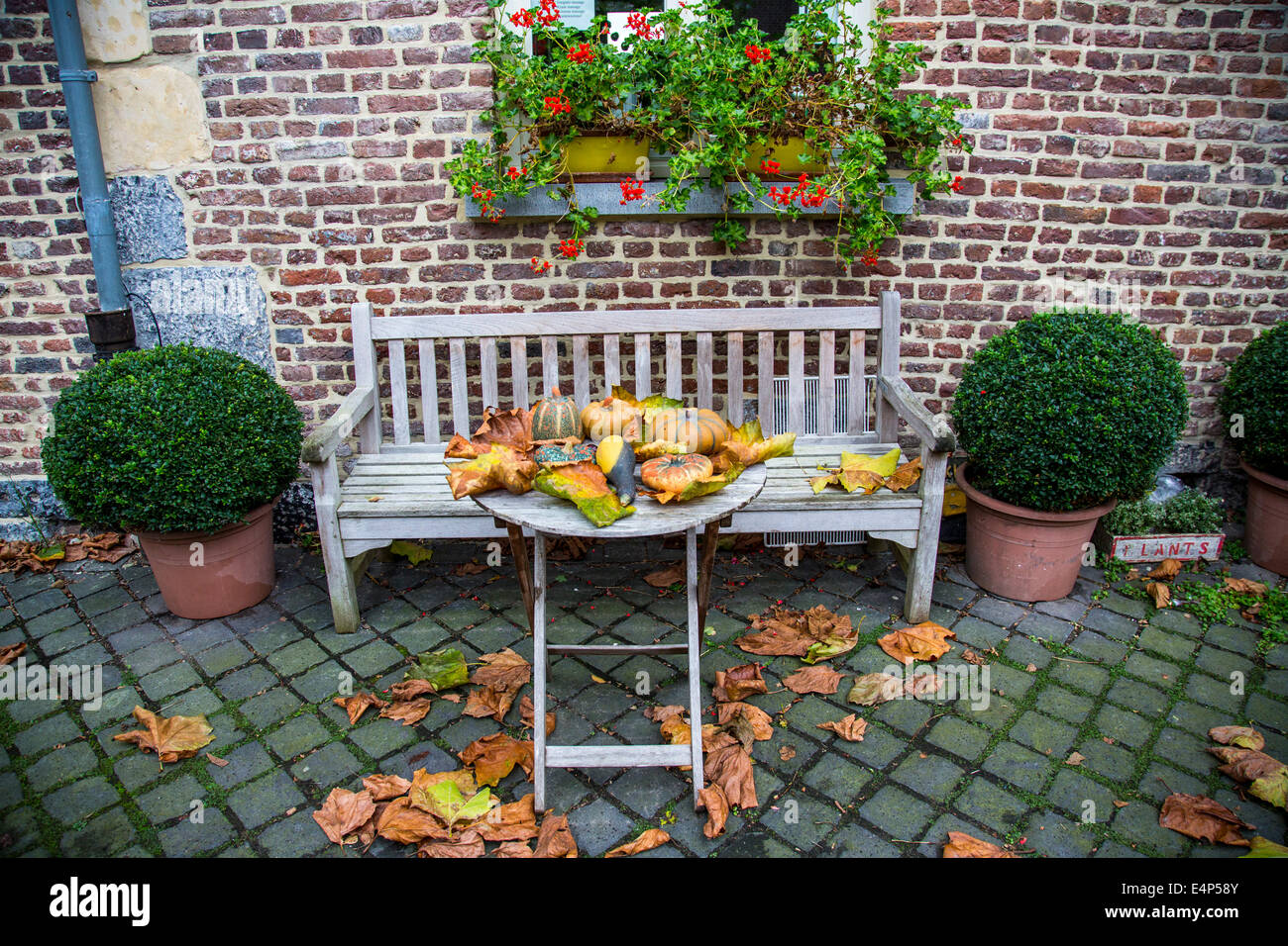 Herbstliche Dekoration In Einem Garten Mit Kurbisse Blatter Und