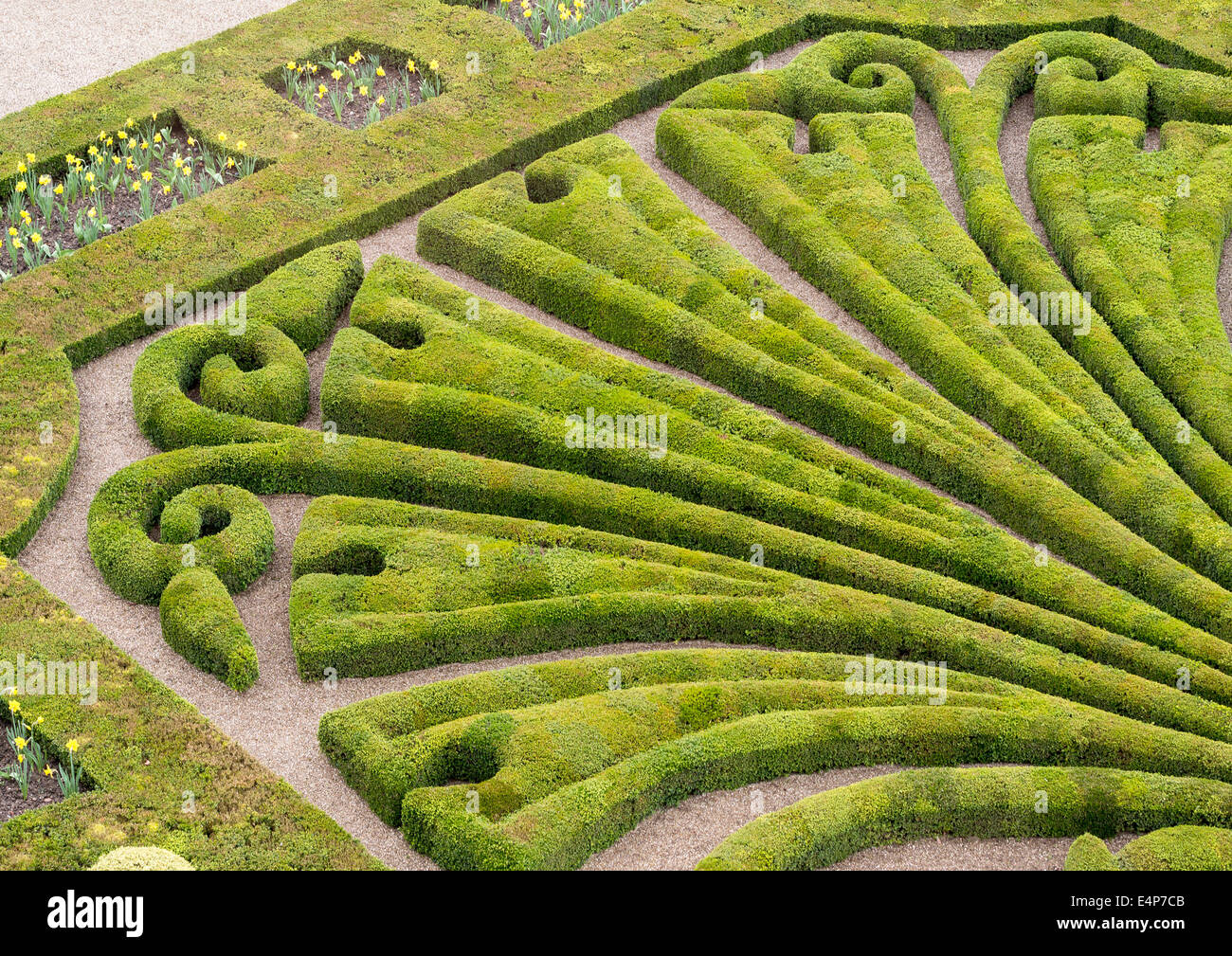 Formale Muster Absicherung. Die gemusterten Absicherung im Schlossgarten des Bischofs. Palast Berbie, Albi, Tarn, Frankreich Stockfoto