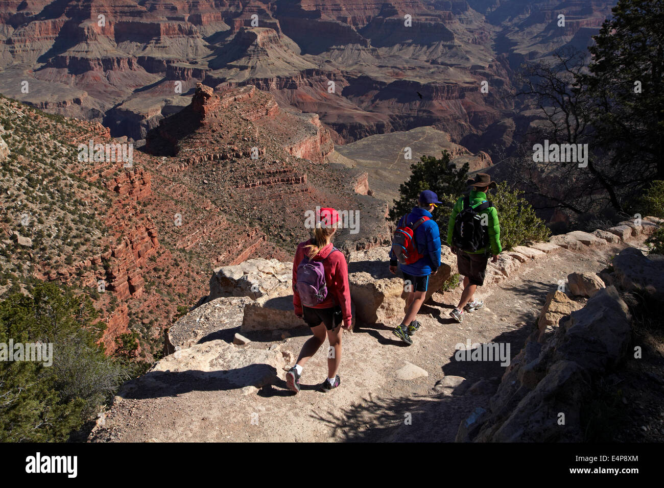 Menschen wandern Bright Angel Trail, South Rim, Grand Canyon, Grand Canyon National Park, Arizona, USA Stockfoto