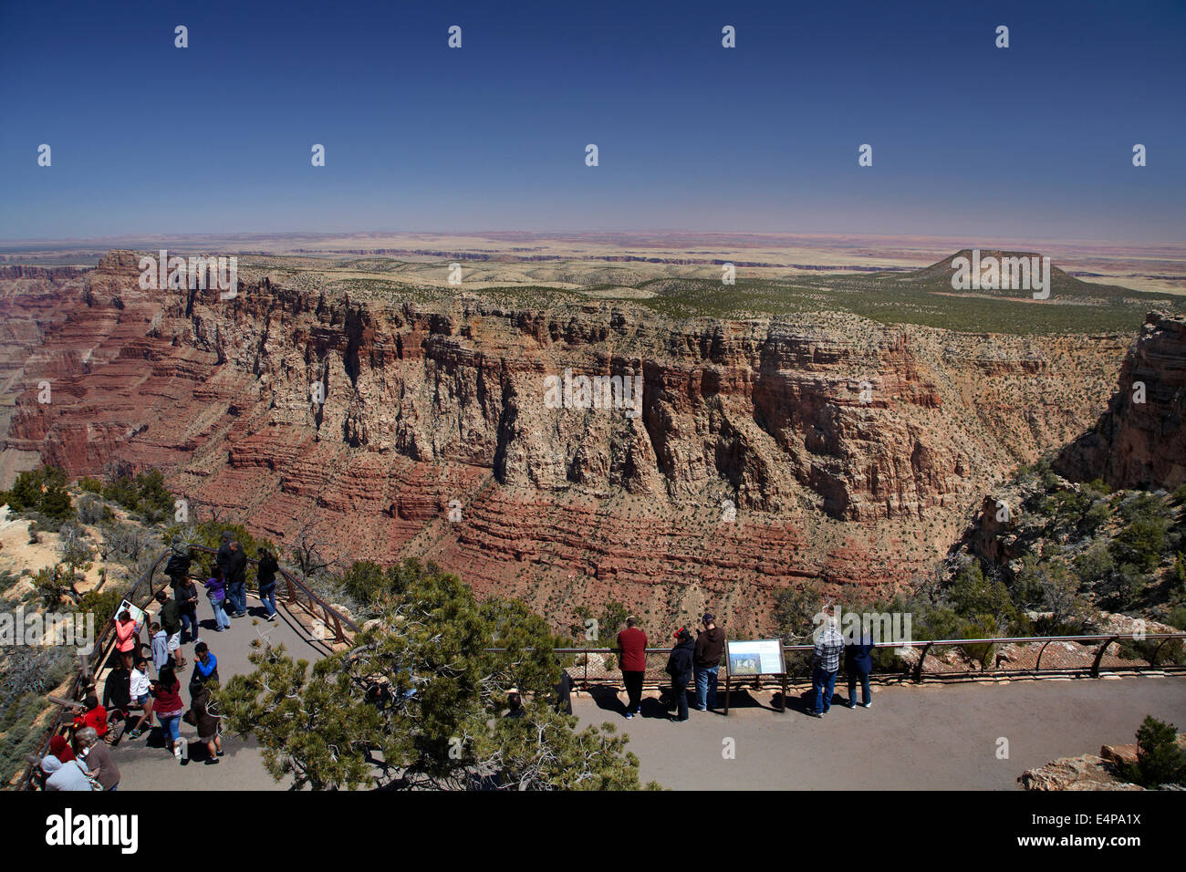 Suche über Grand Canyon am Desert View, East Rim Drive, Grand-Canyon-Nationalpark, Arizona, USA Stockfoto