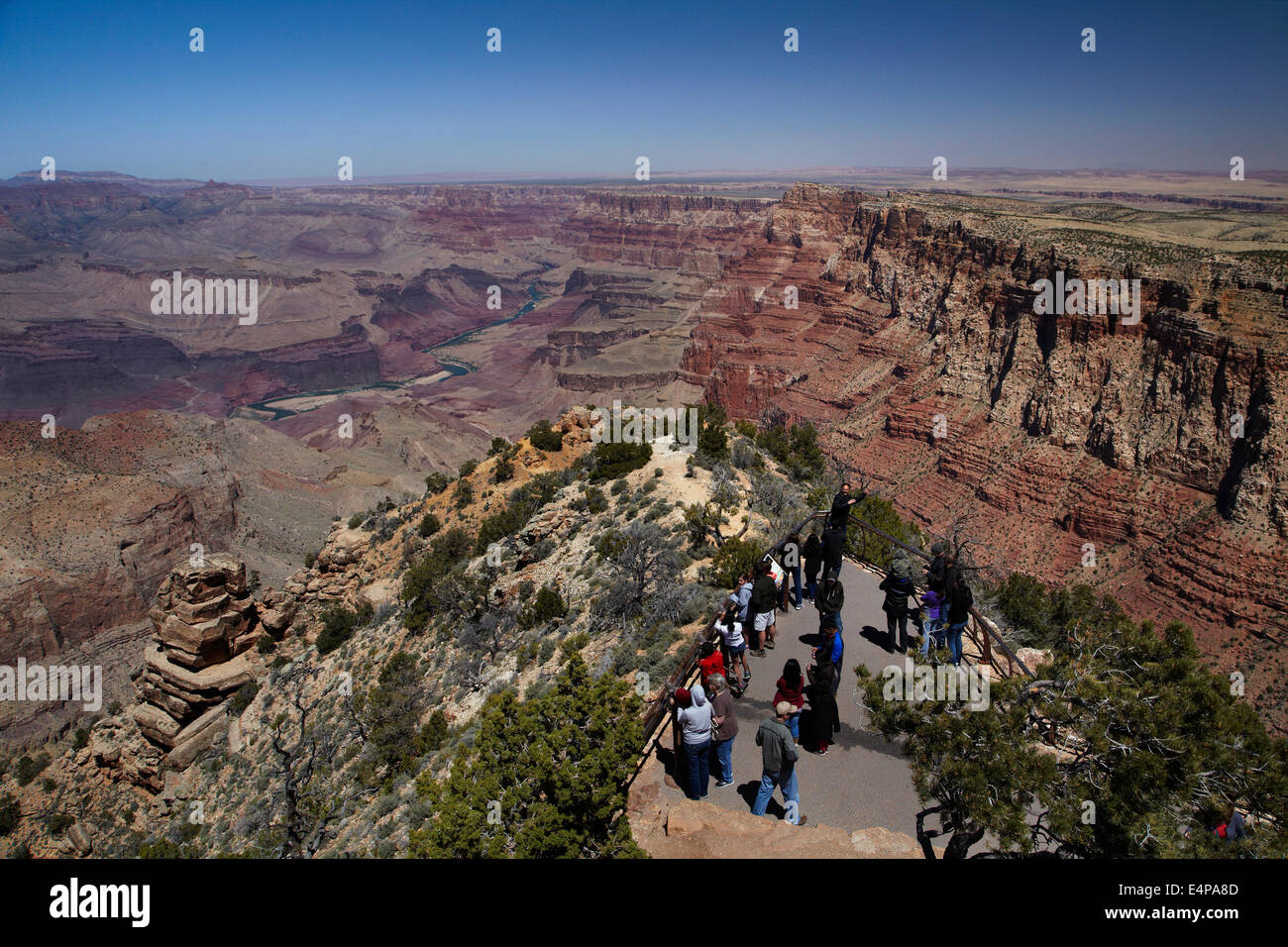 Suche über Grand Canyon am Desert View, East Rim Drive, Grand-Canyon-Nationalpark, Arizona, USA Stockfoto