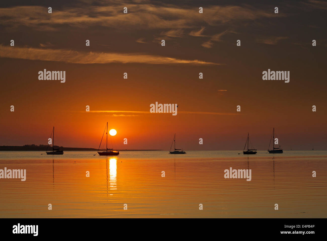 Swale Mündung in der Nähe von Faversham, Kent, UK. 16. Juli 2014. UK-Wetter. Ein wunderschöner Sonnenaufgang wirft eine gelb-Orange Leuchten über Boote vertäut in der Senke-Mündung zu Jahresbeginn einen weiteren sonnigen, heißen und feuchten Tag. Temperaturen sind über weite Teile des Landes in der Mitte 20er Jahre für die nächsten Tage prognostiziert. Stockfoto