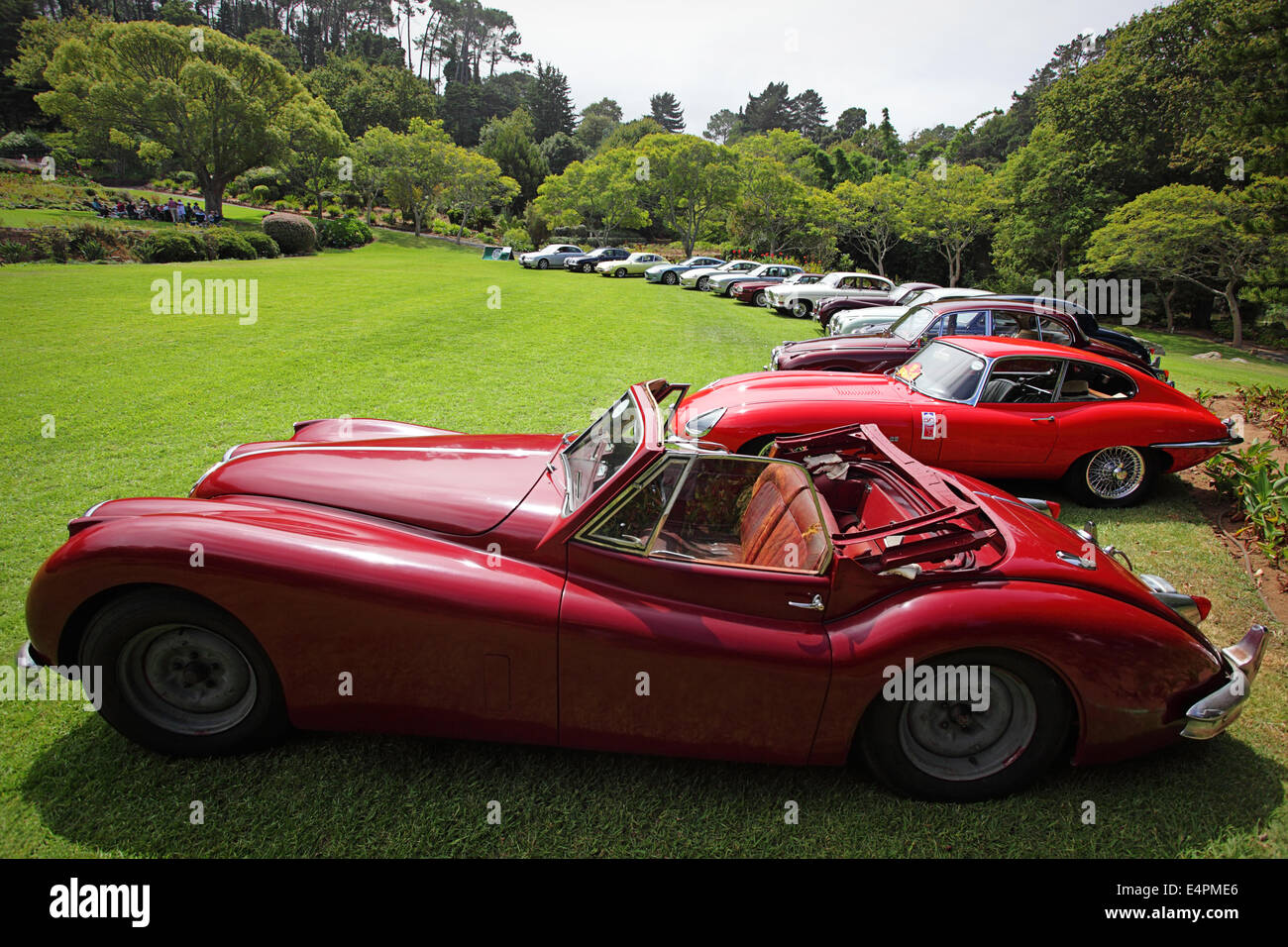 Oldtimer Jaguar auf dem Display, Cape Town, Südafrika Stockfoto