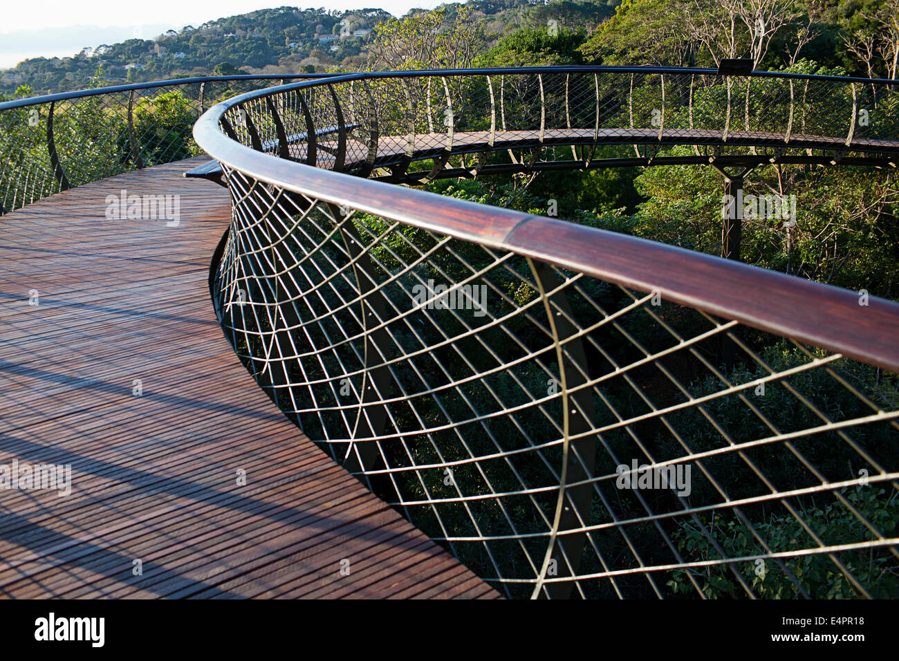 Kirstenbosch Hundertjahrfeier Baum Canopy Walkway Stockfoto