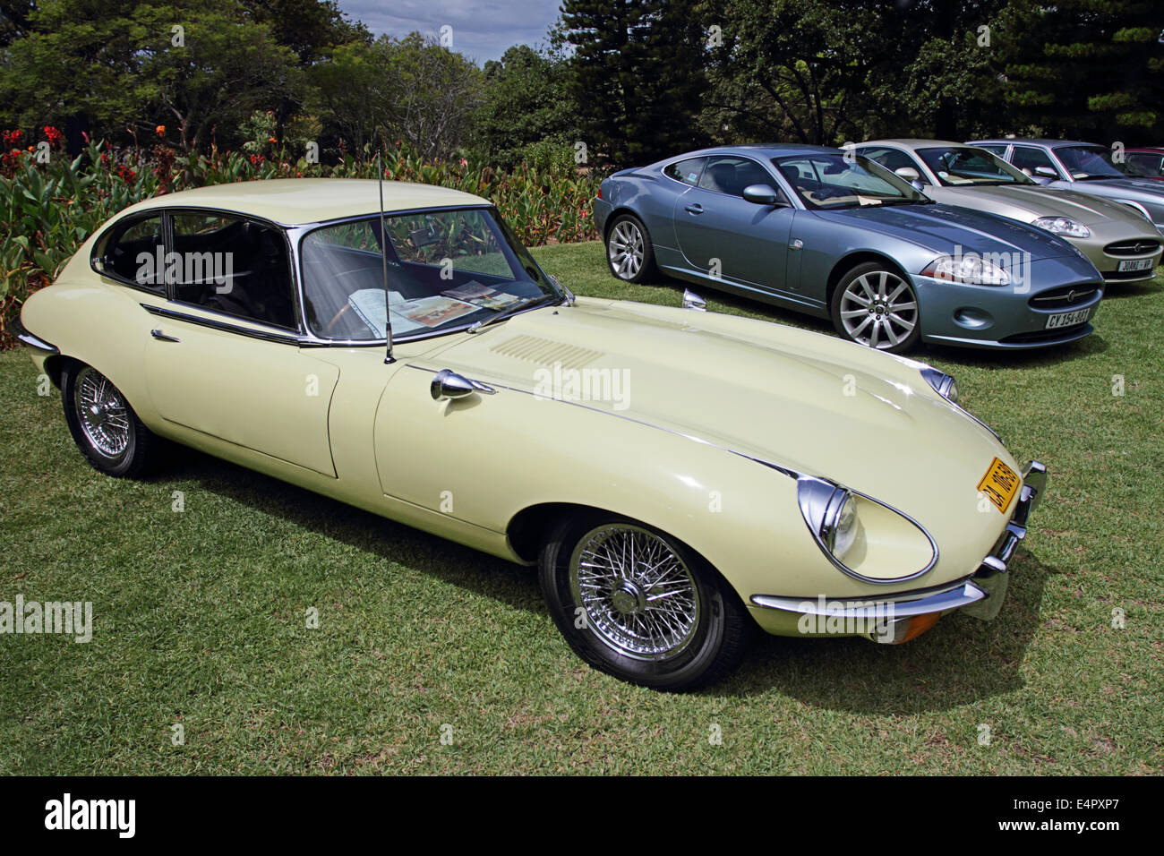 Der Jaguar E-Type (aka Jaguar XK-E) Stockfoto
