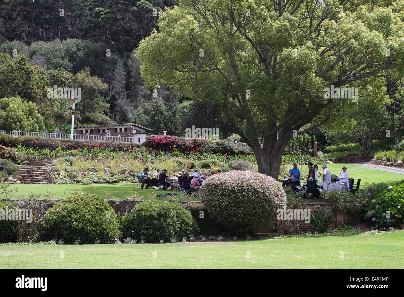 Menschen sammeln für ein Picknick unter einem Baum, Harcroft House, obere Constantia, Südafrika Stockfoto