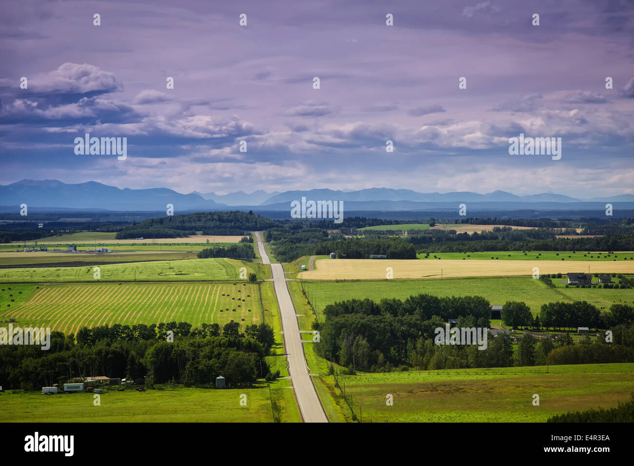 Weiten, offenen Flächen der ländlichen Provinz Alberta, Kanada. Stockfoto