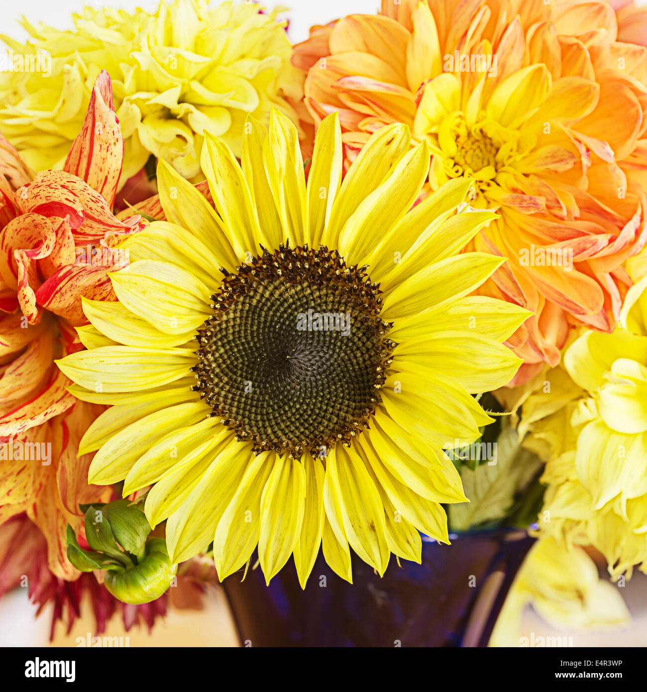 Hauptart Herbststrauß mit Gartenblumen. Stockfoto