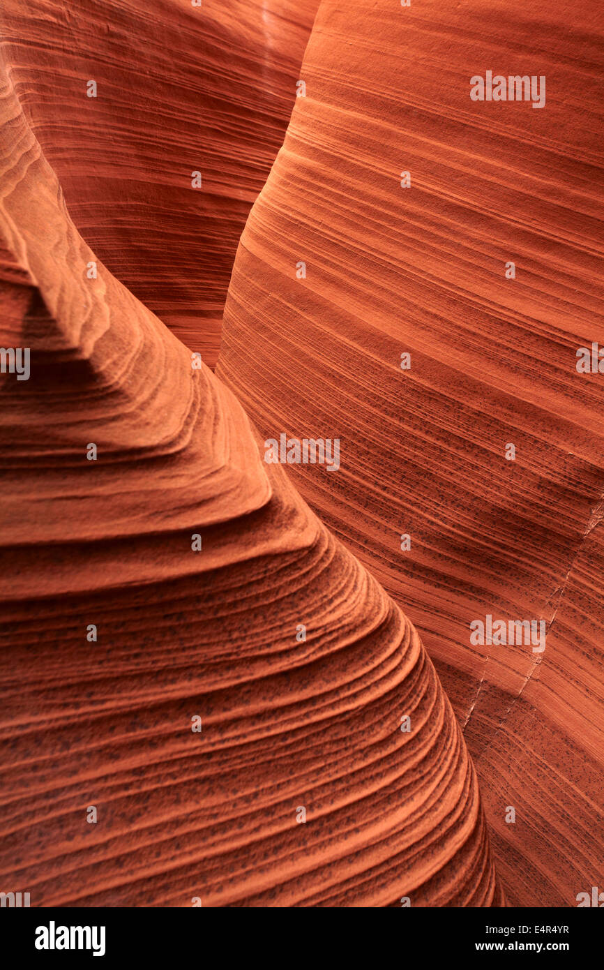 Erodierte Sandsteinformationen im Rattlesnake Canyon in der Nähe von Page, Navajo-Nation, Arizona, USA Stockfoto