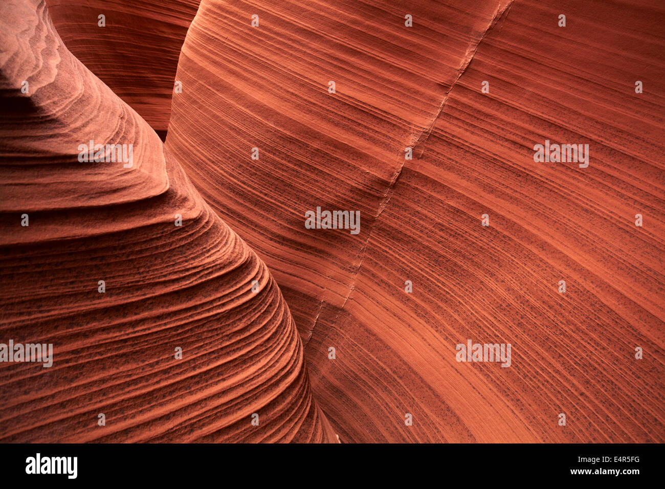 Erodierte Sandsteinformationen im Rattlesnake Canyon in der Nähe von Page, Navajo-Nation, Arizona, USA Stockfoto