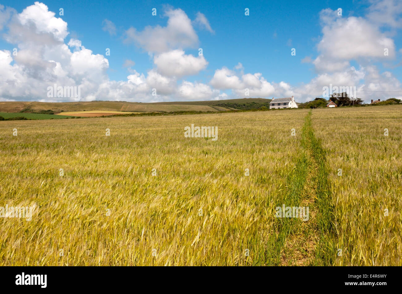 Hamstead überquert der Isle Of Wight von Hamstead an der N-Küste Bach auf der.  Dies ist Ansicht n aus in der Nähe von Bach. Stockfoto