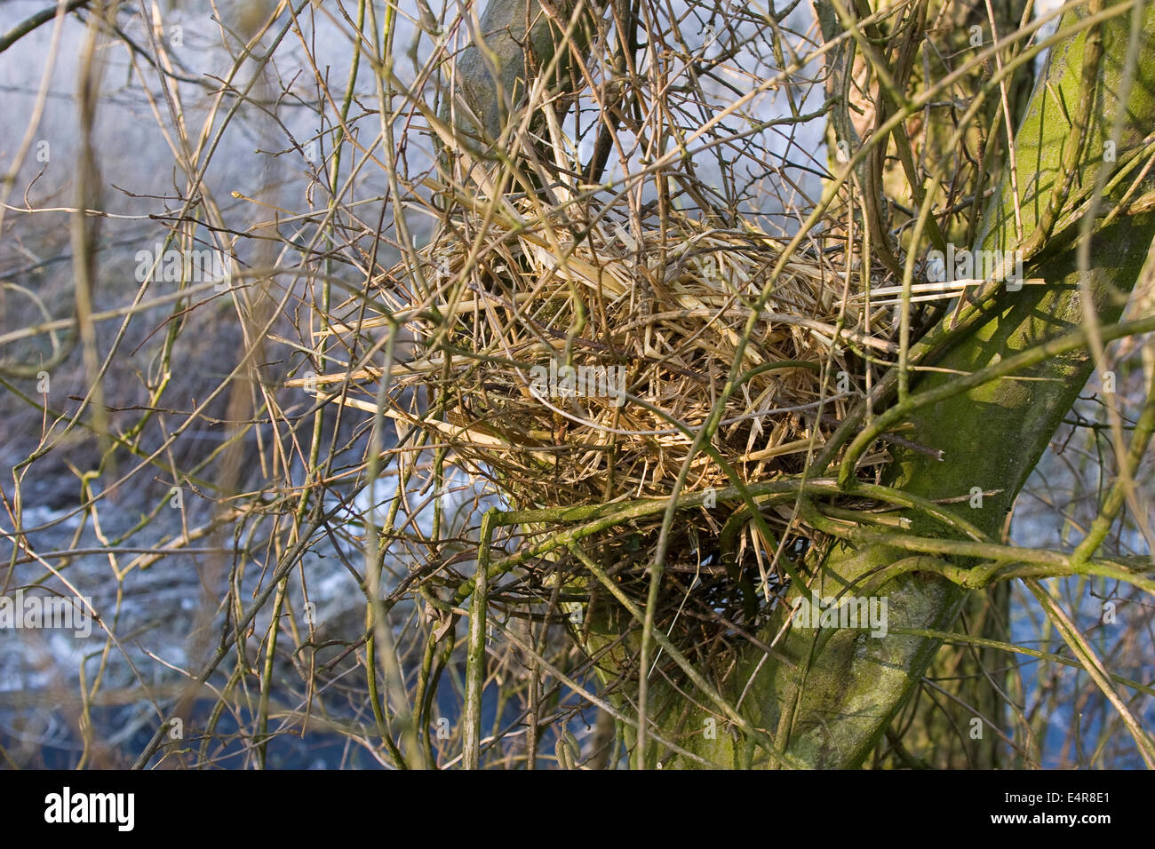 Die Kunst, den perfekten Kaffee zu Hause zu brühen