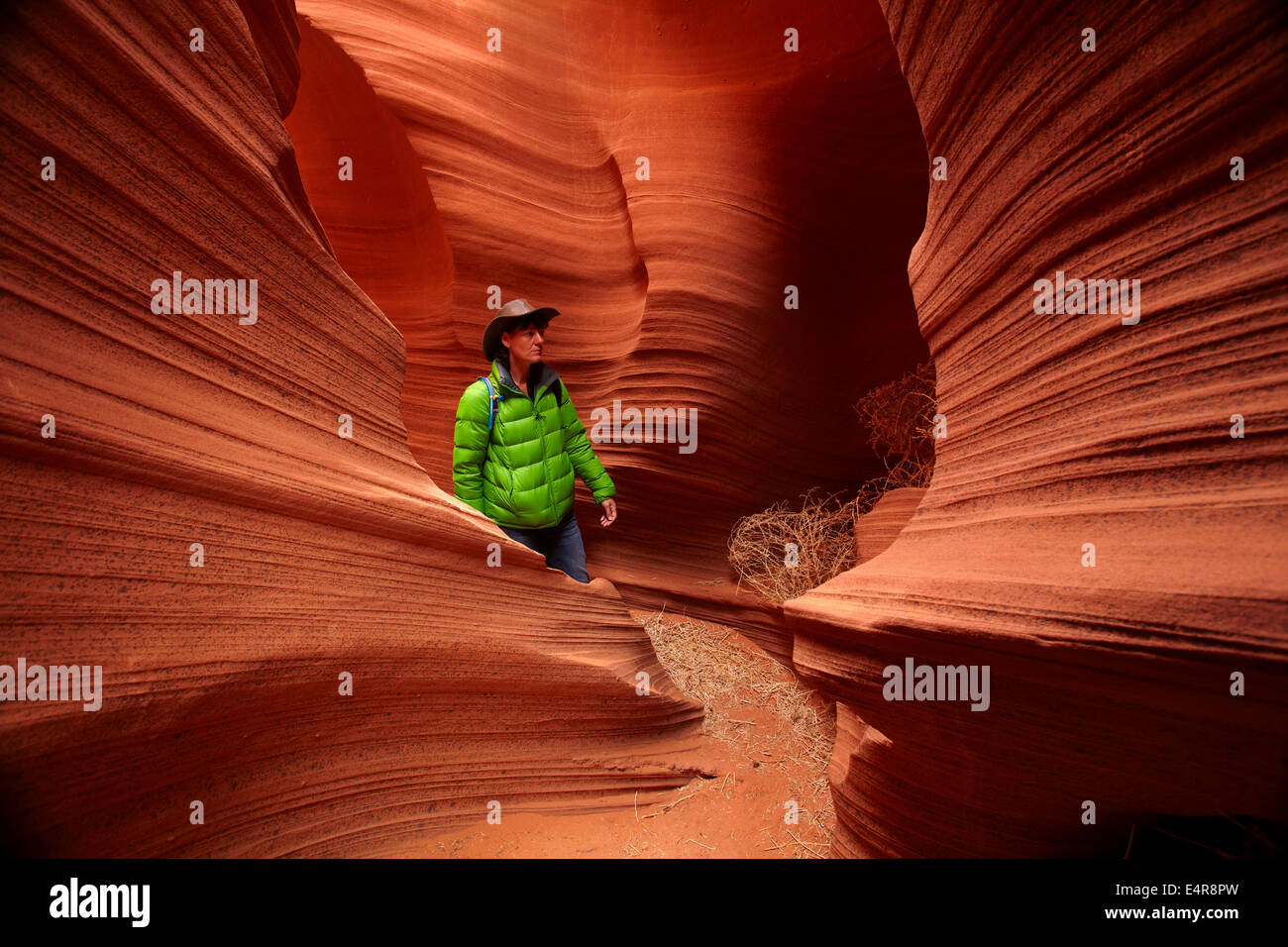 Touristische und erodierte Sandsteinformationen im Rattlesnake Canyon in der Nähe von Page, Navajo Nation, Arizona, USA Stockfoto