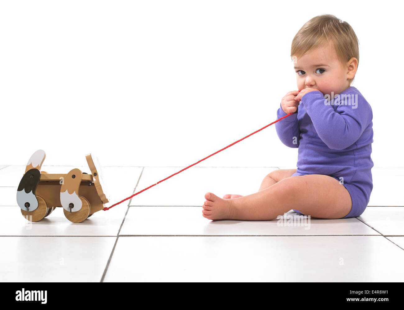 Babymädchen (12 Monate) beißen Zeichenfolge ziehen entlang Hundespielzeug Stockfoto