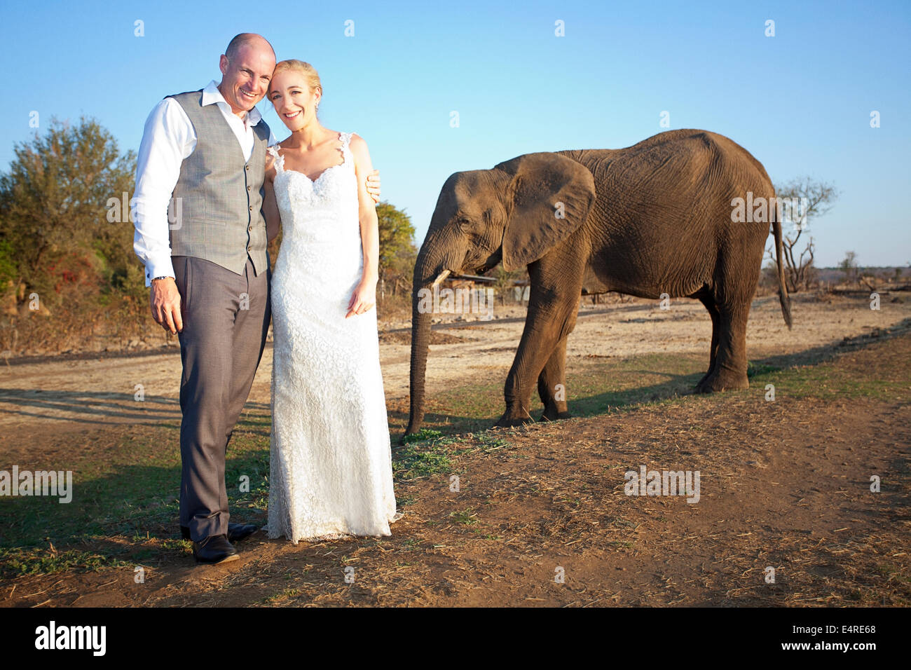Verheiratet mit erwachsenen Elefanten für ihr Hochzeitsfoto paar stehen Stockfoto