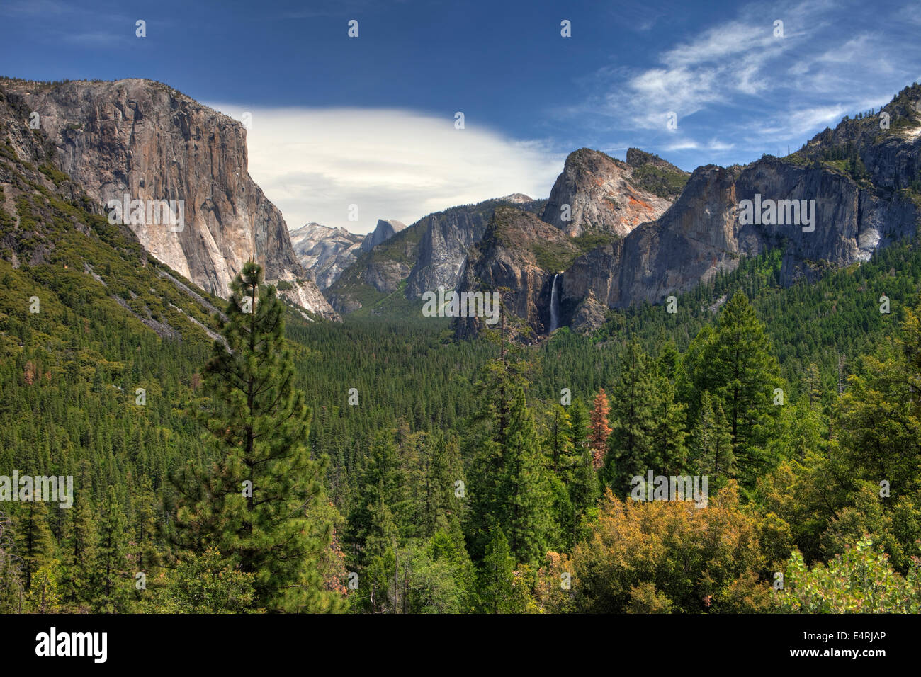 Yosemite Nationalpark, Kalifornien USA Stockfoto