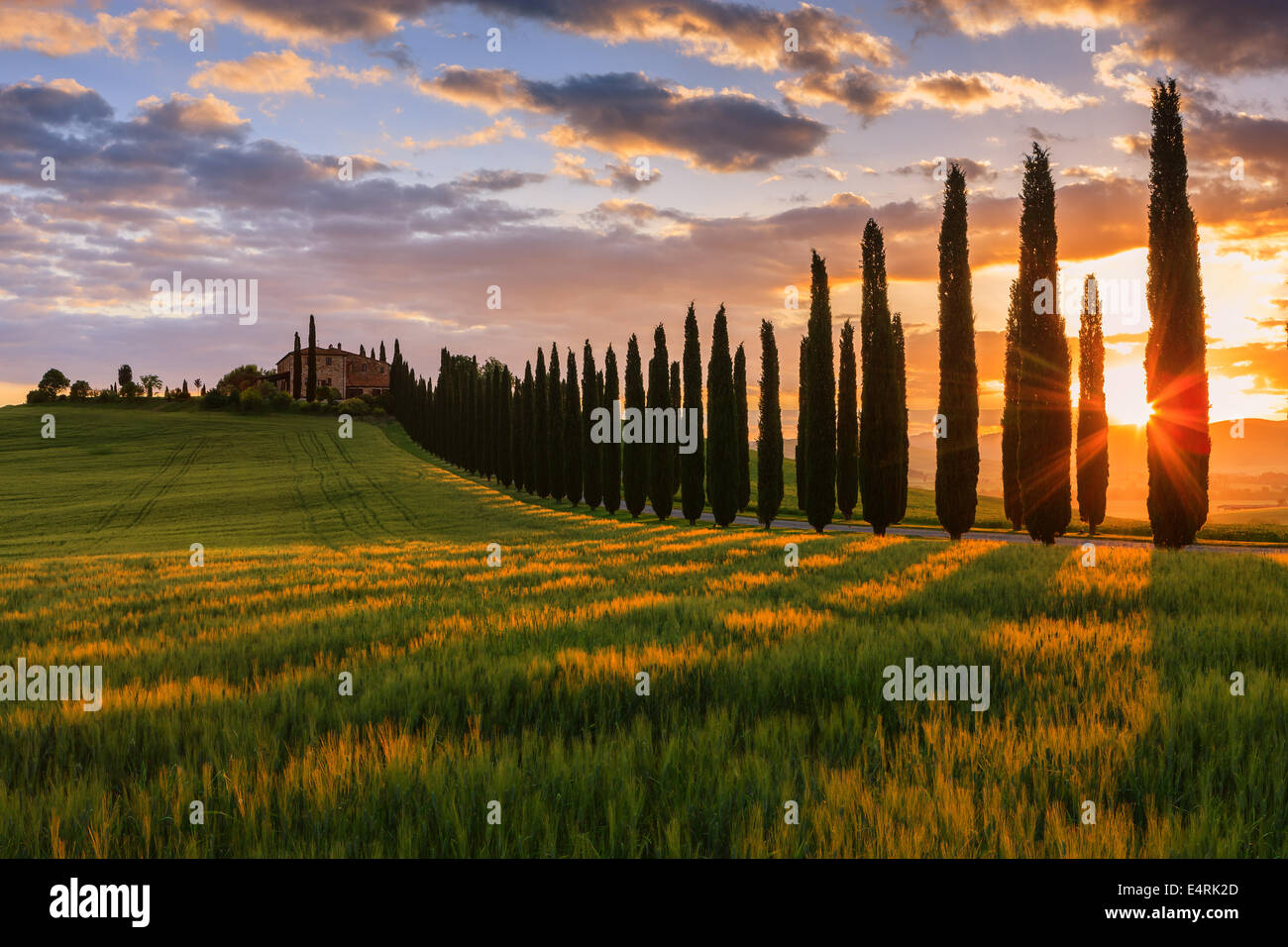 Im Herzen der Toskana, in die Landschaft des Val d ' Orcia befindet sich Agriturismo Poggio Covili Stockfoto