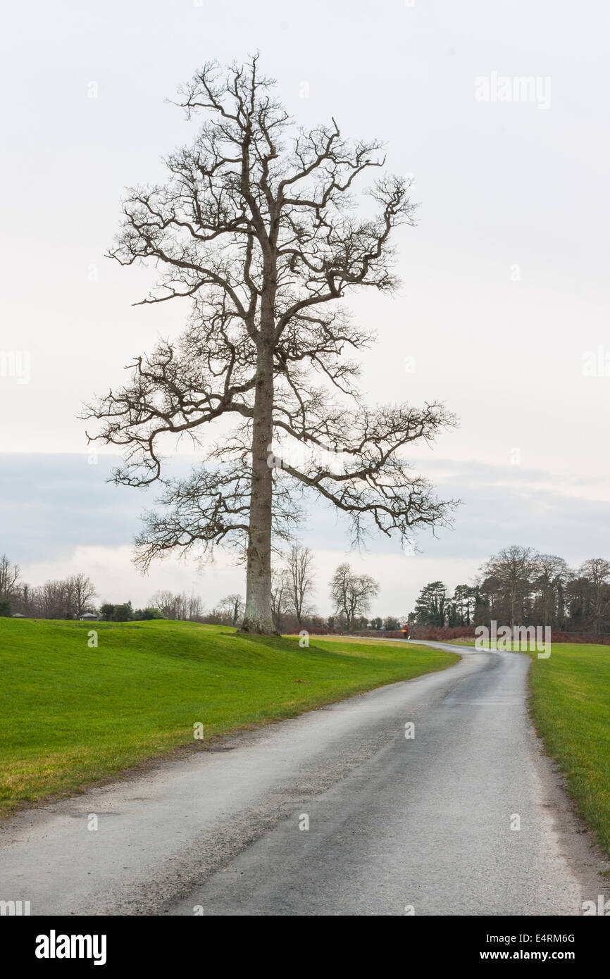 Hintergrund schön Weg in Richtung Schicksal Stockfoto