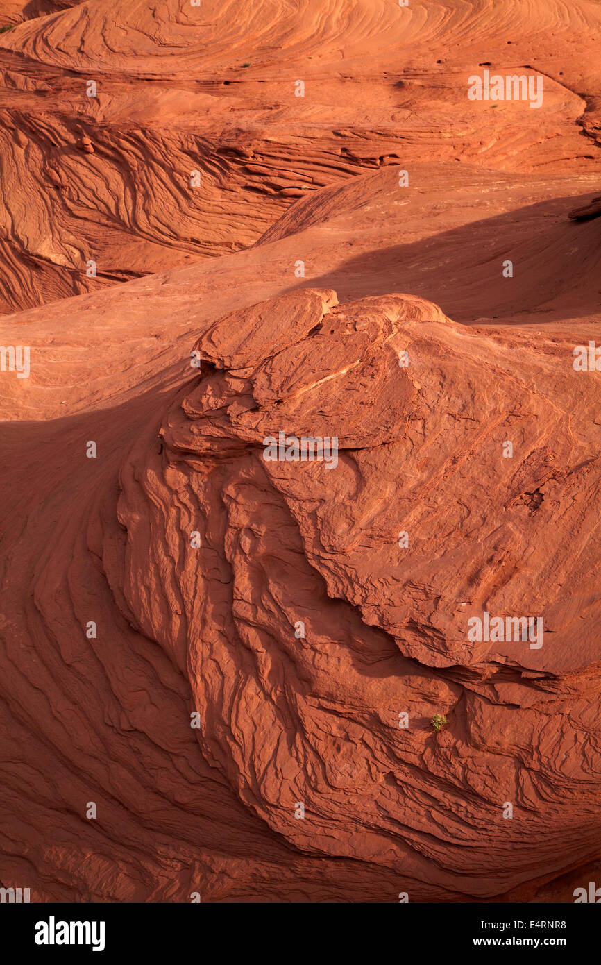 Felsformationen, Mystery Valley, Monument Valley, Navajo-Nation, Grenze zu Utah/Arizona, USA Stockfoto