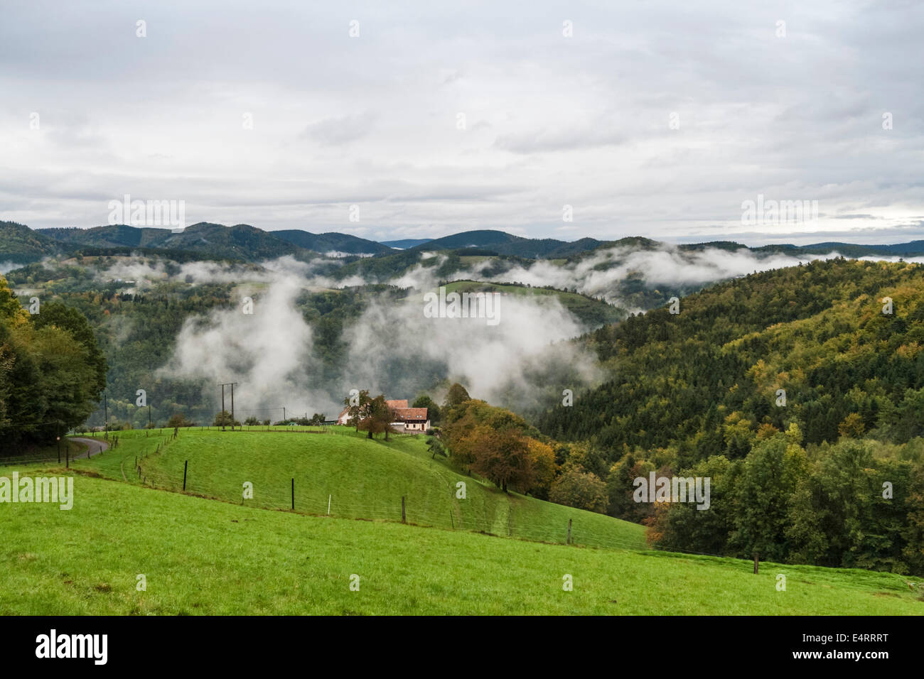 Ländliche Herbstmorgen in den Vogesen, Elsass, Frankreich. Stockfoto