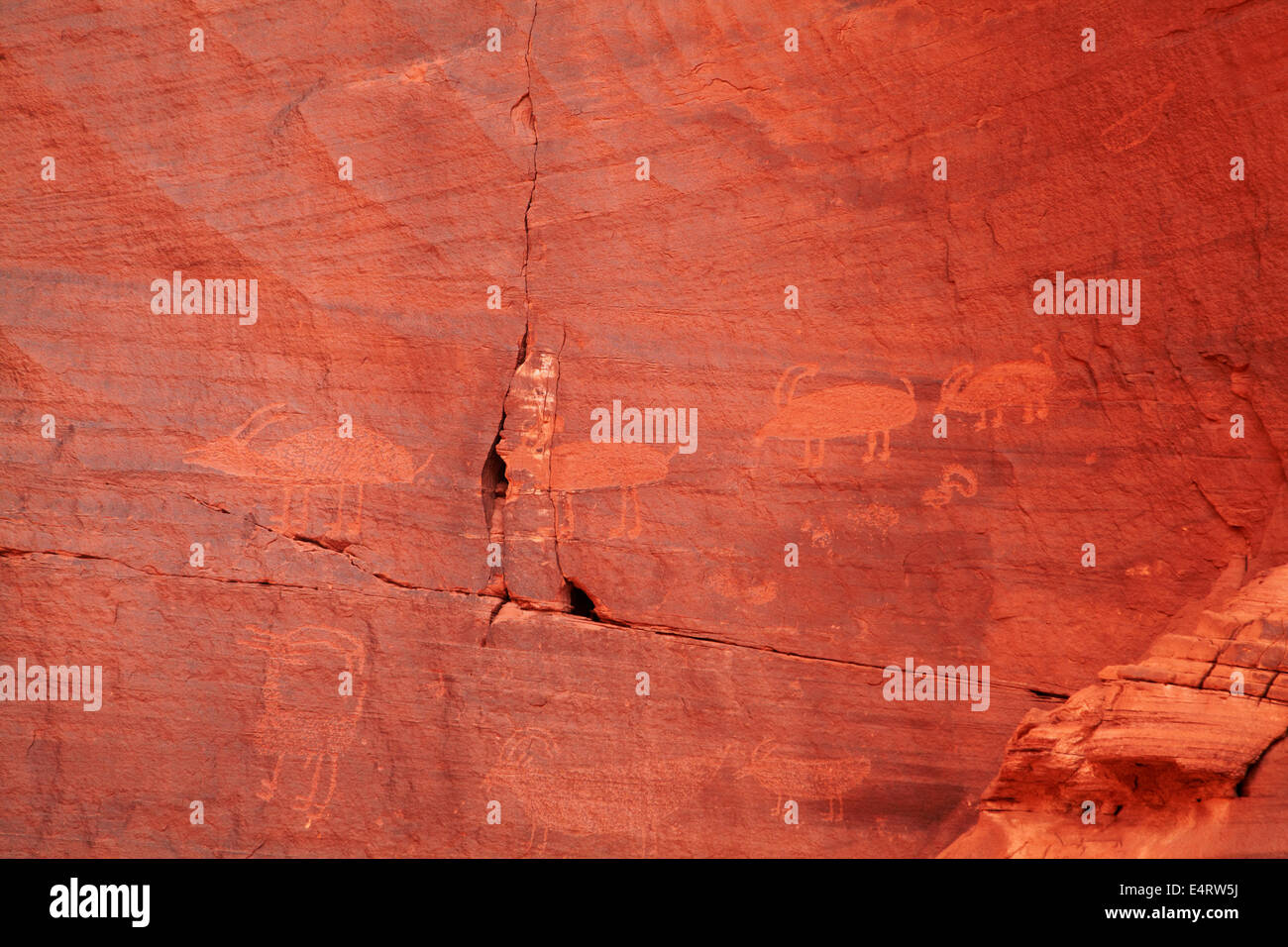 Alten Anasazi Petroglyphen, Mystery Valley, Monument Valley Navajo Nation, Arizona, USA Stockfoto