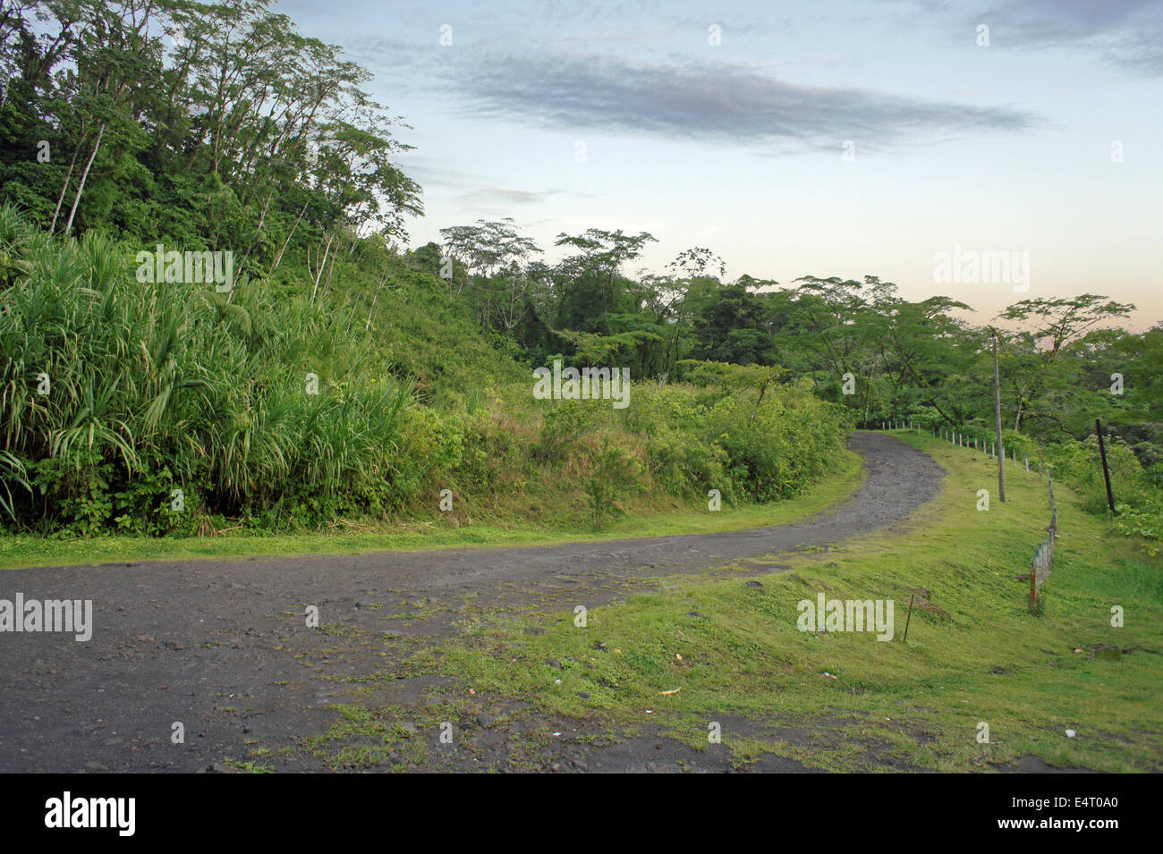 Impressionen vom sonnigen und grünen Costa Rica Stockfoto