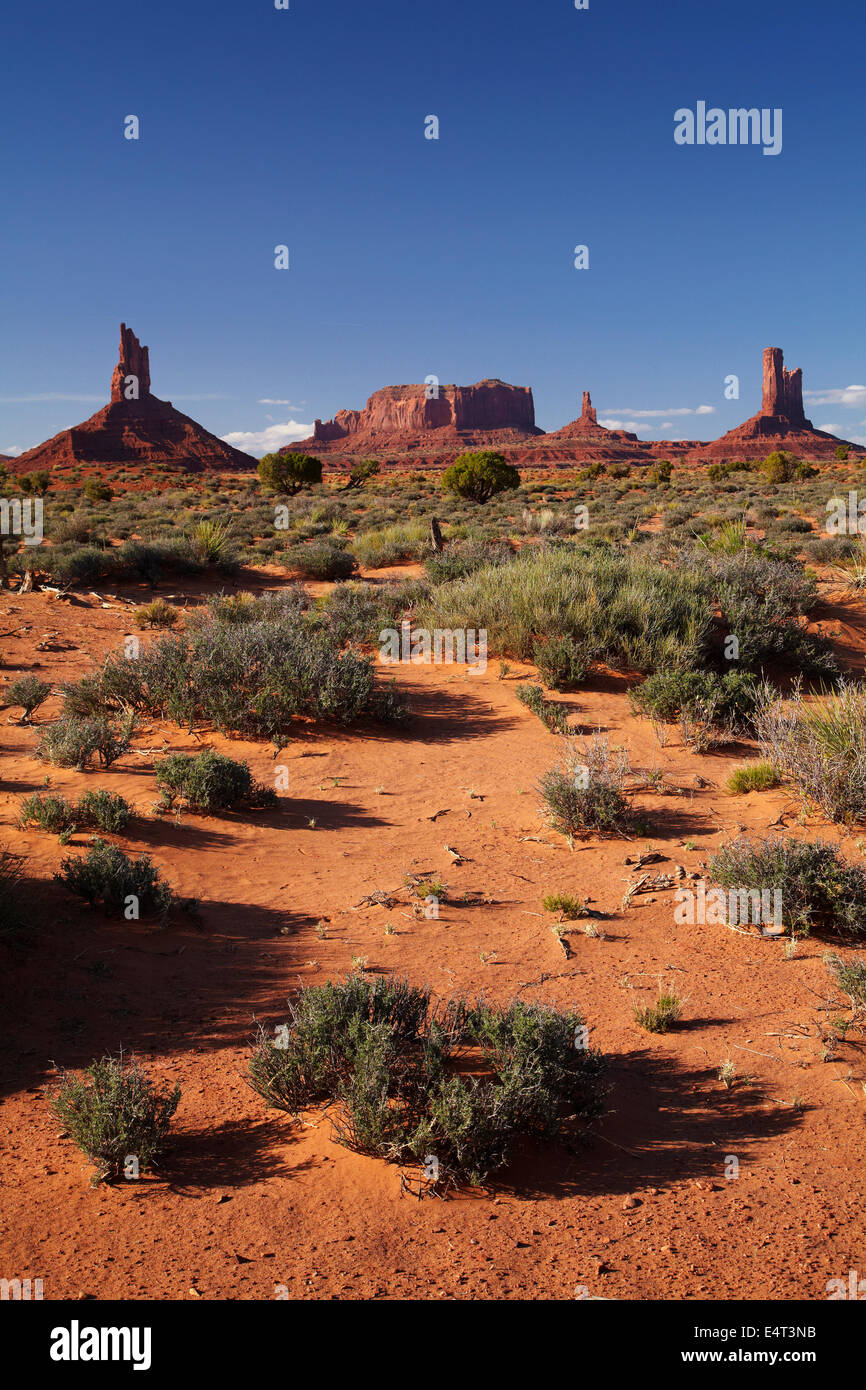 Big Indian, Brigham Grab, König auf seinem Thron und das Schloss Felsformationen, Navajo-Nation, Monument Valley, Utah und Arizona USA Stockfoto