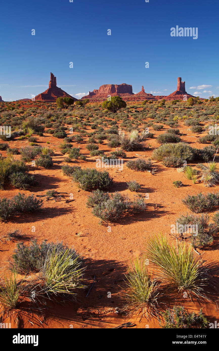 Big Indian, Brigham Grab, König auf seinem Thron und das Schloss Felsformationen, Navajo-Nation, Monument Valley, Utah und Arizona USA Stockfoto