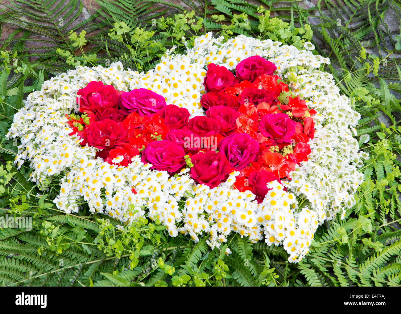 Dekoration für Corpus Christi fest: ein Herz aus Rosen und andere Blumen gemacht Stockfoto