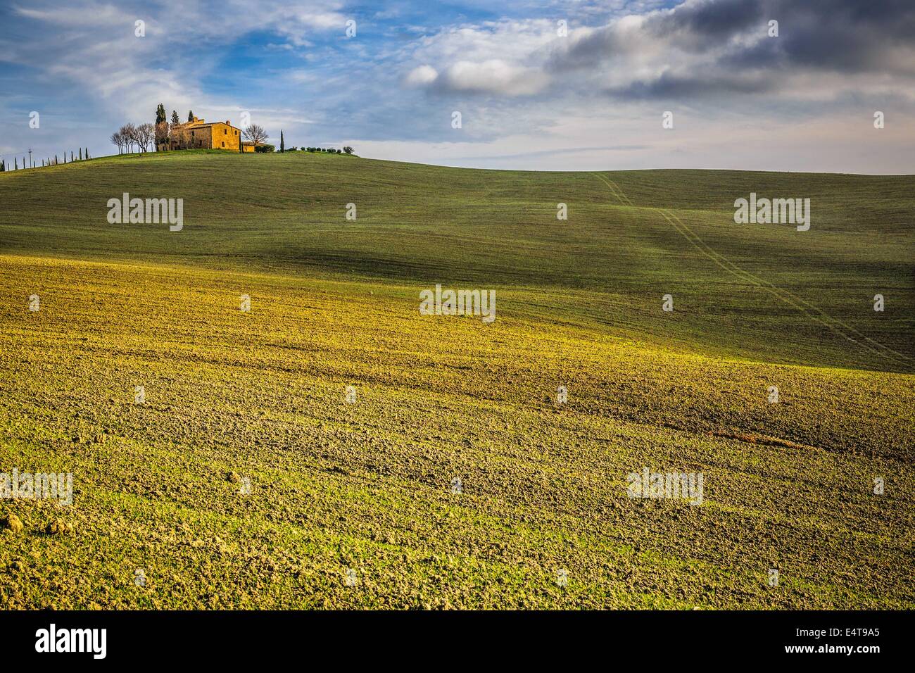 Toskanisches Bauernhaus in der Toskana Stockfoto