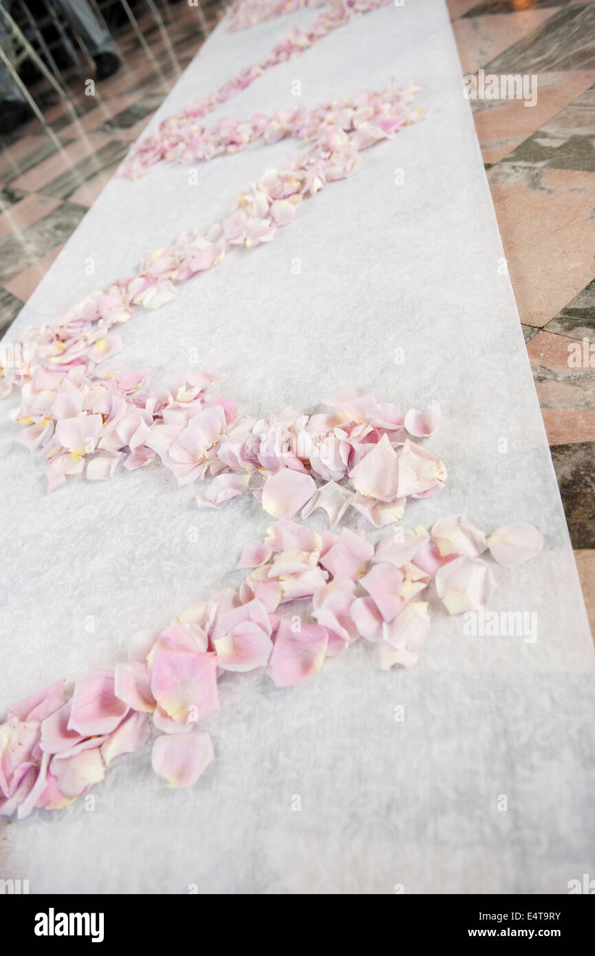 Blütenblätter auf den Boden bei Hochzeit, Toronto, Ontario, Kanada Stockfoto
