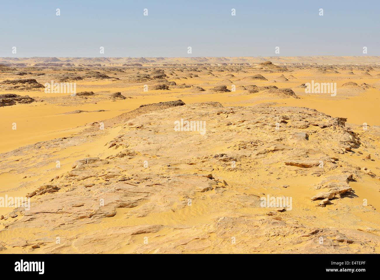 Herrliche Sicht auf die Wüstenlandschaft, Matruh, libysche Wüste, Sahara Wüste, Ägypten, Nordafrika, Afrika Stockfoto