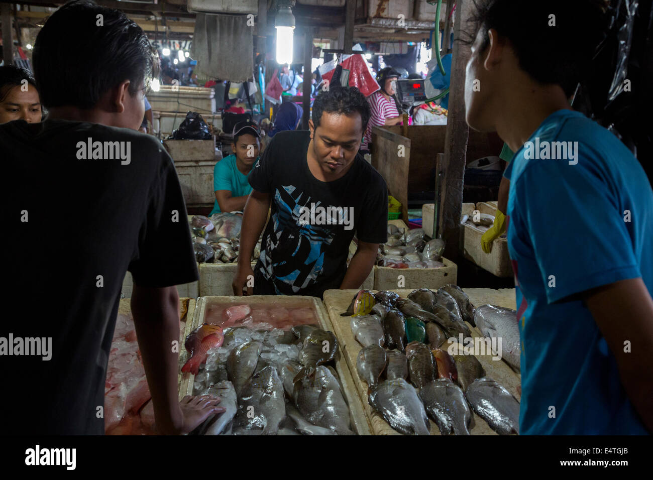 Bali, Indonesien.  Potenziellen Kunden prüfen die Fische, Jimbaran Fischmarkt. Stockfoto