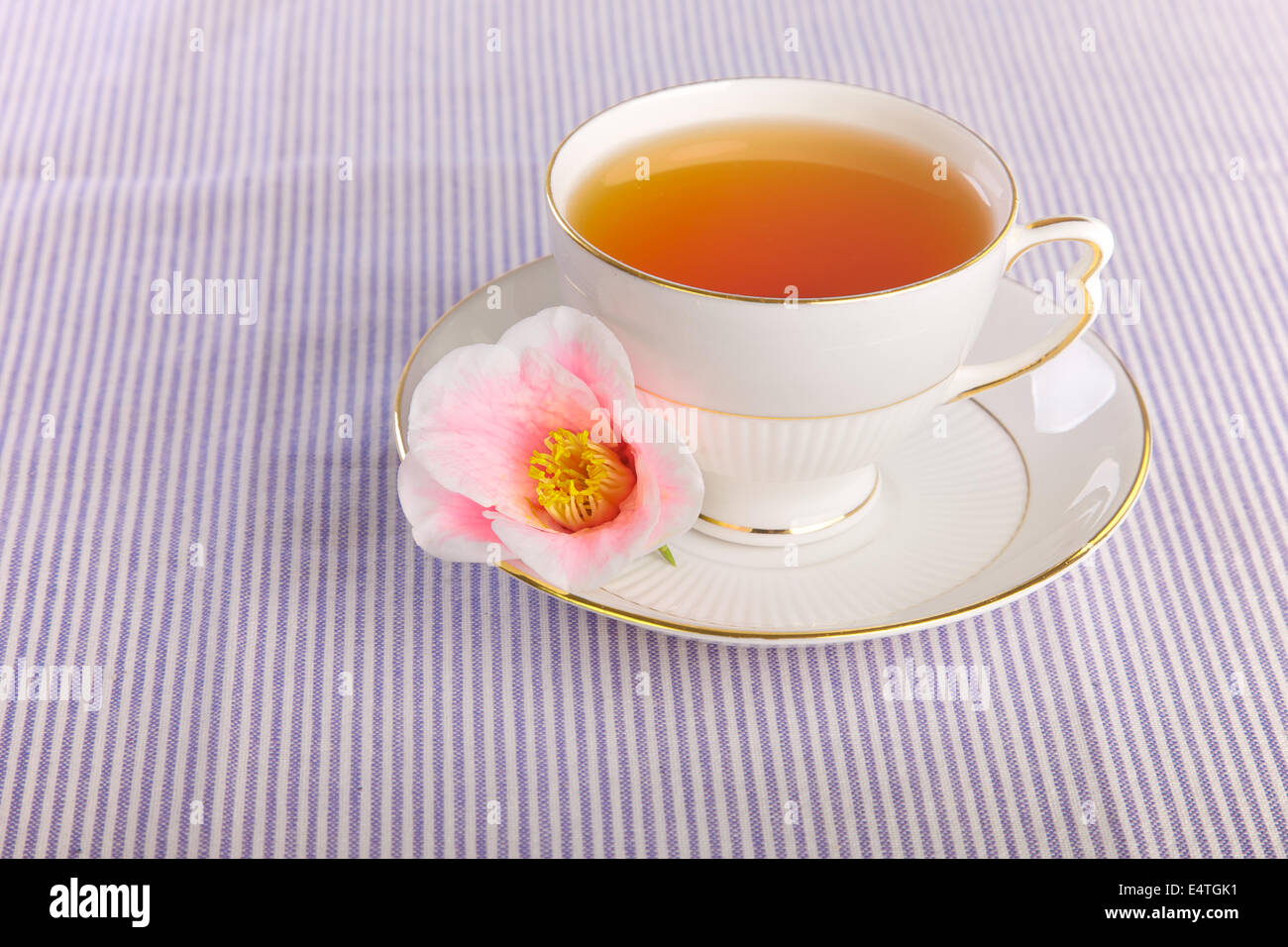 Tasse Tee mit einer Blume in einer Küche Stockfoto