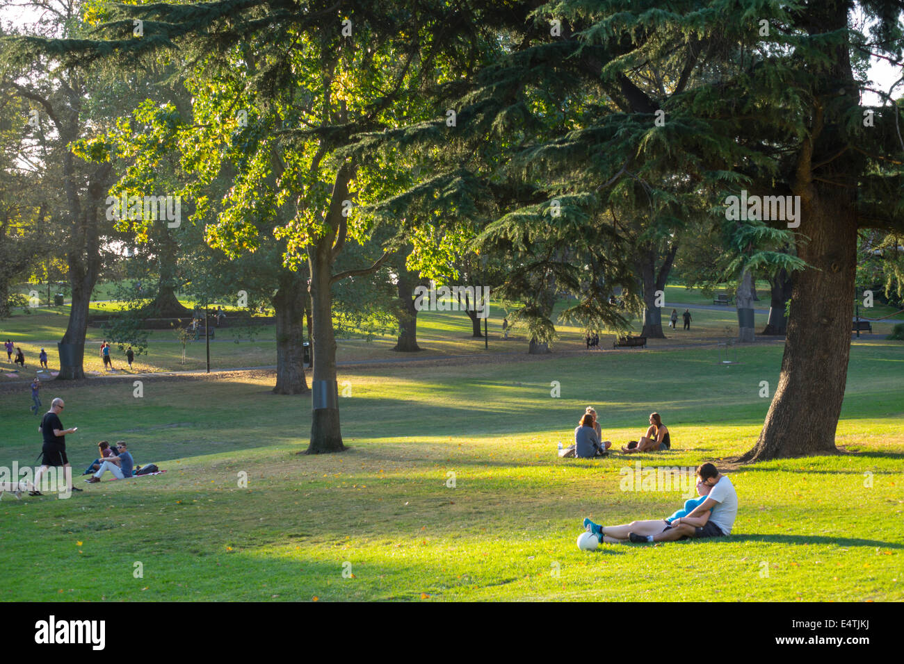 Australien, Victoria, West Melbourne, Flagstaff Gardens, öffentlicher Park, Rasen, Gras, Bäume, Bewohner, entspannend, AU140319180 Stockfoto