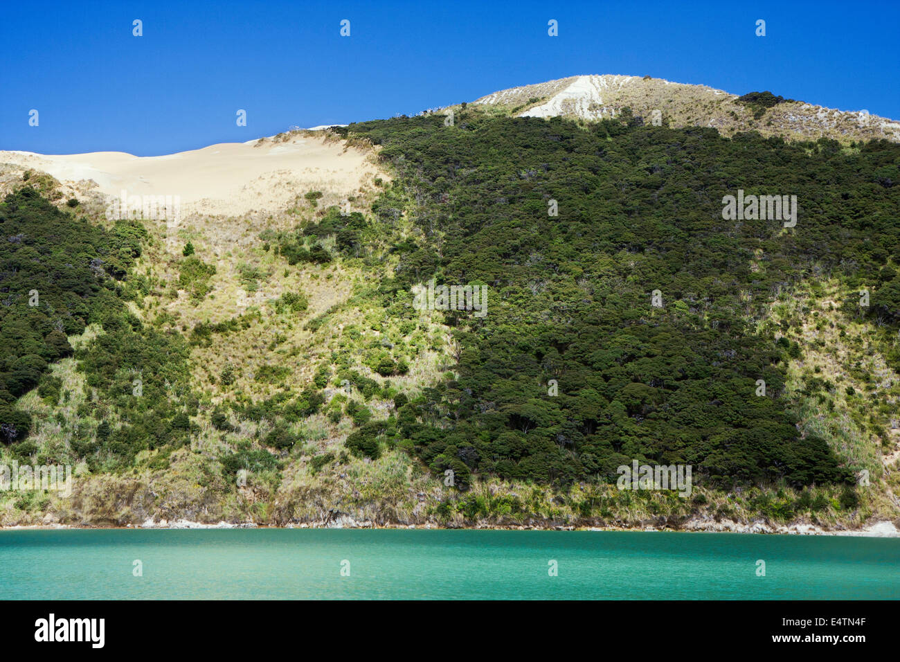 Hoch aufragenden Sanddünen am Hokianga Harbour Stockfoto