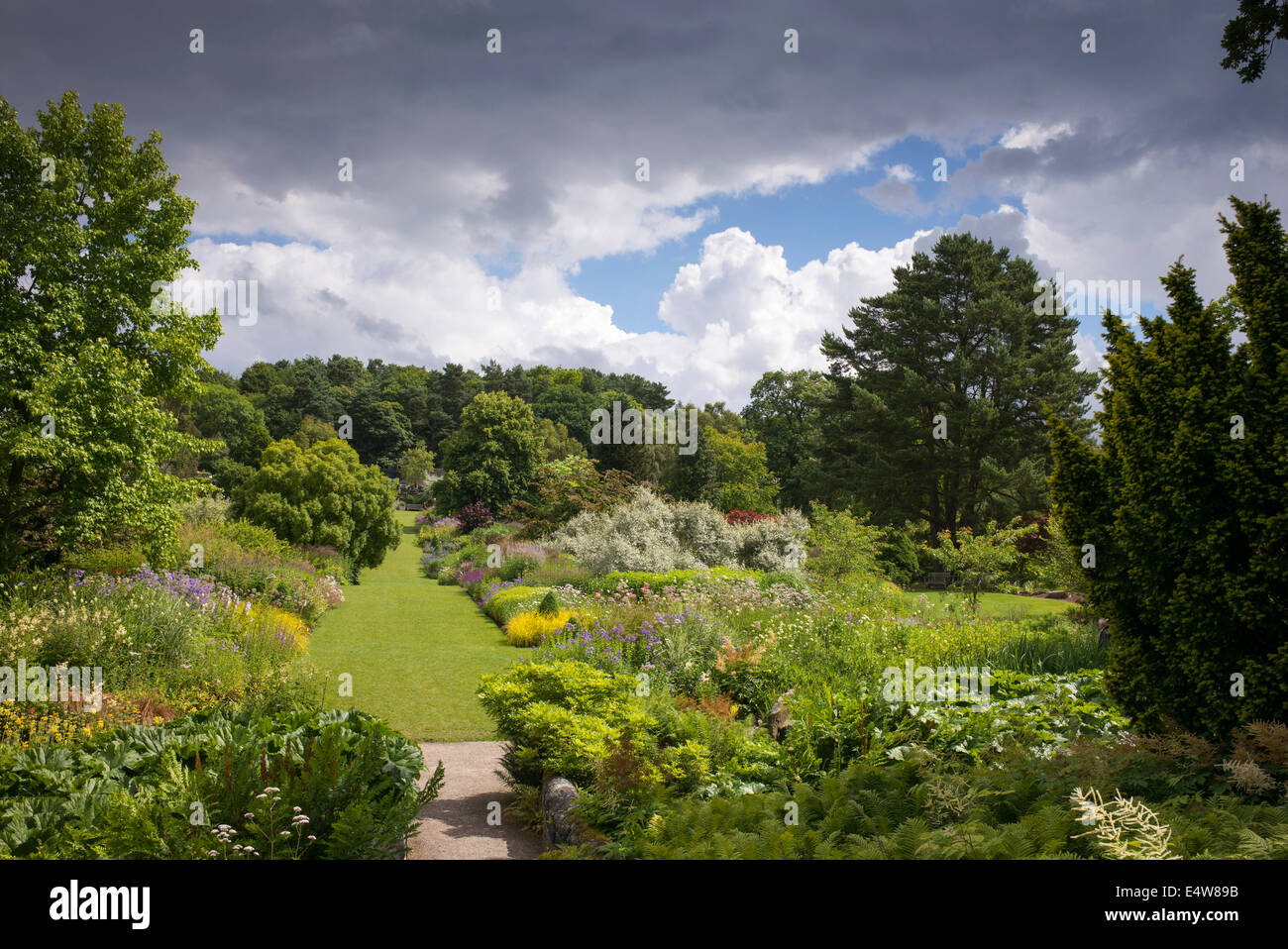 Gärten im RHS Harlow Carr. Harrogate, England Stockfoto