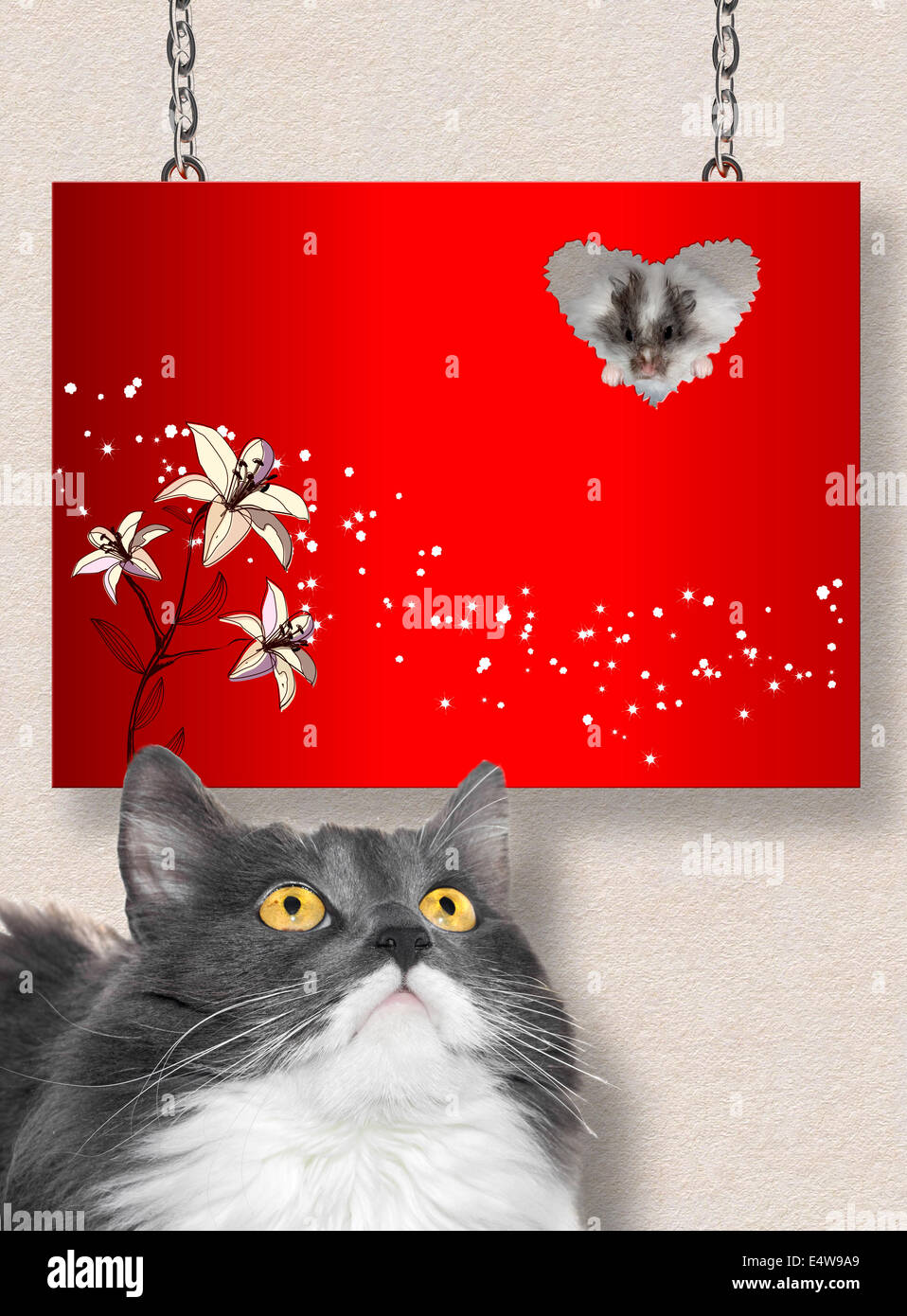 Graue Katze Blick auf weiße hamster Stockfoto